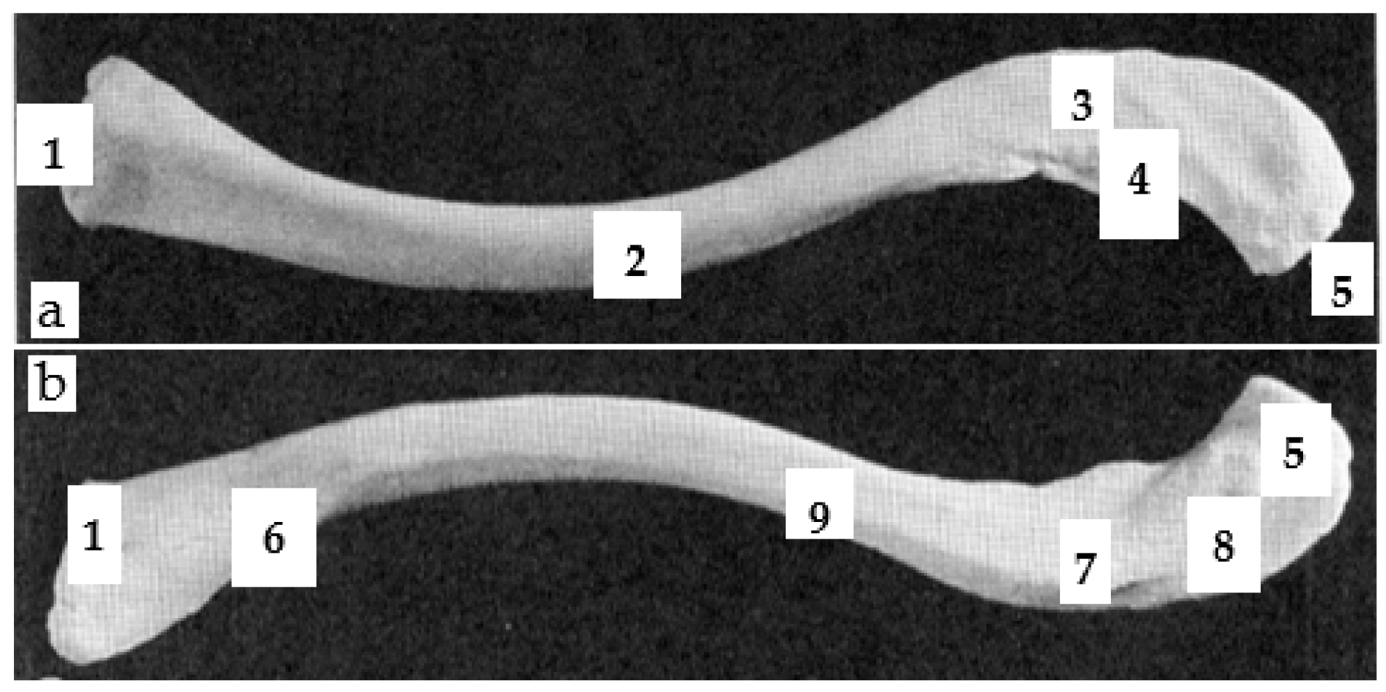 Applsci 11 04545 g004