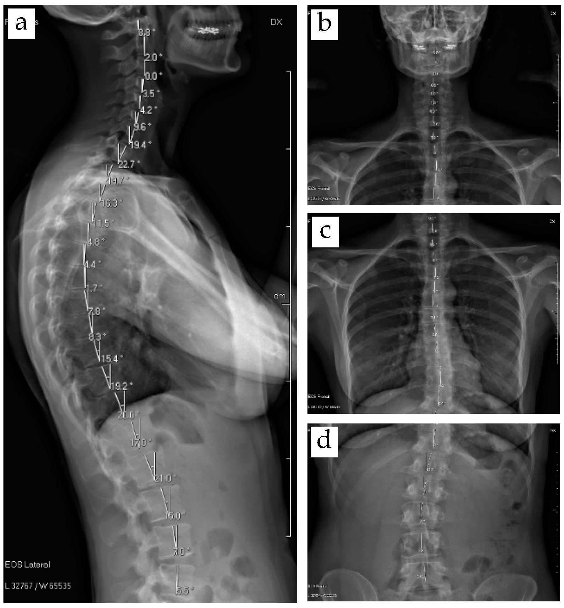 Applsci 11 04545 g020