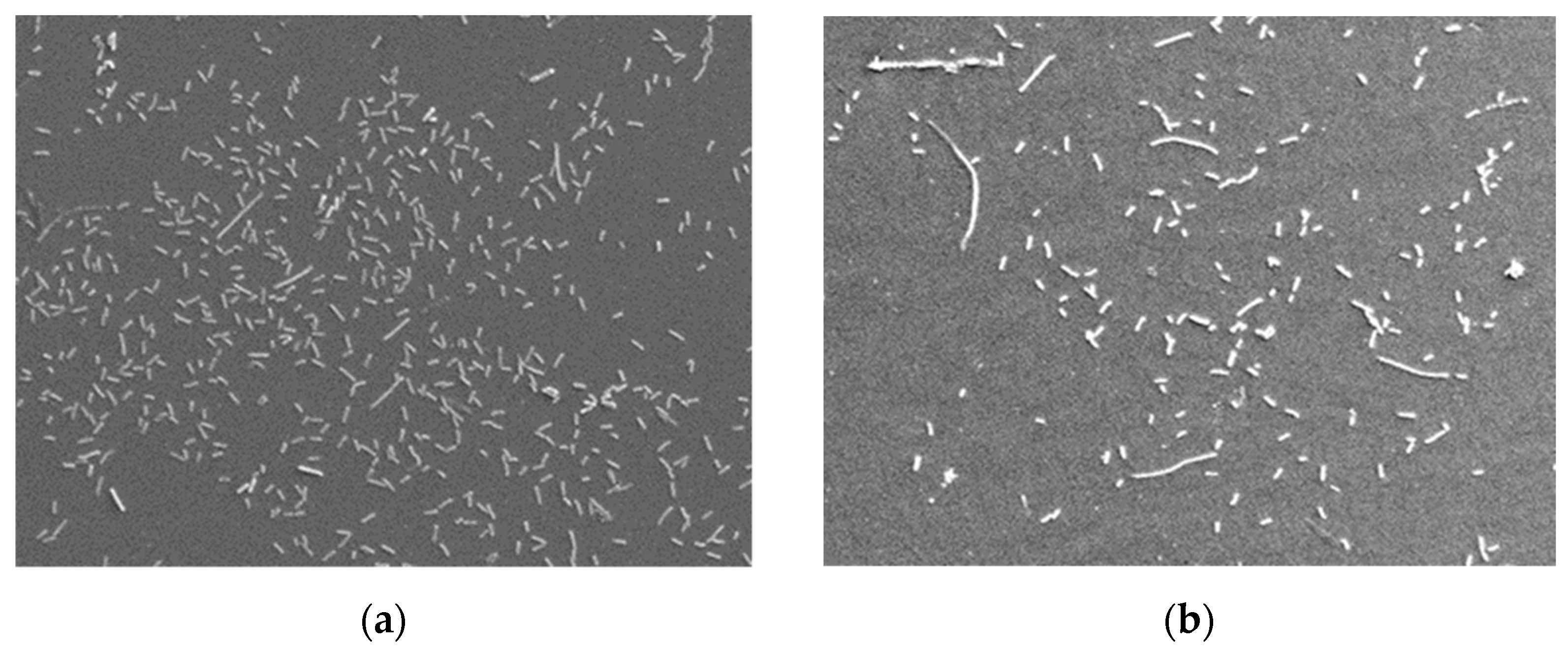 Applsci 11 04551 g007 Applsci 11 04551 g007