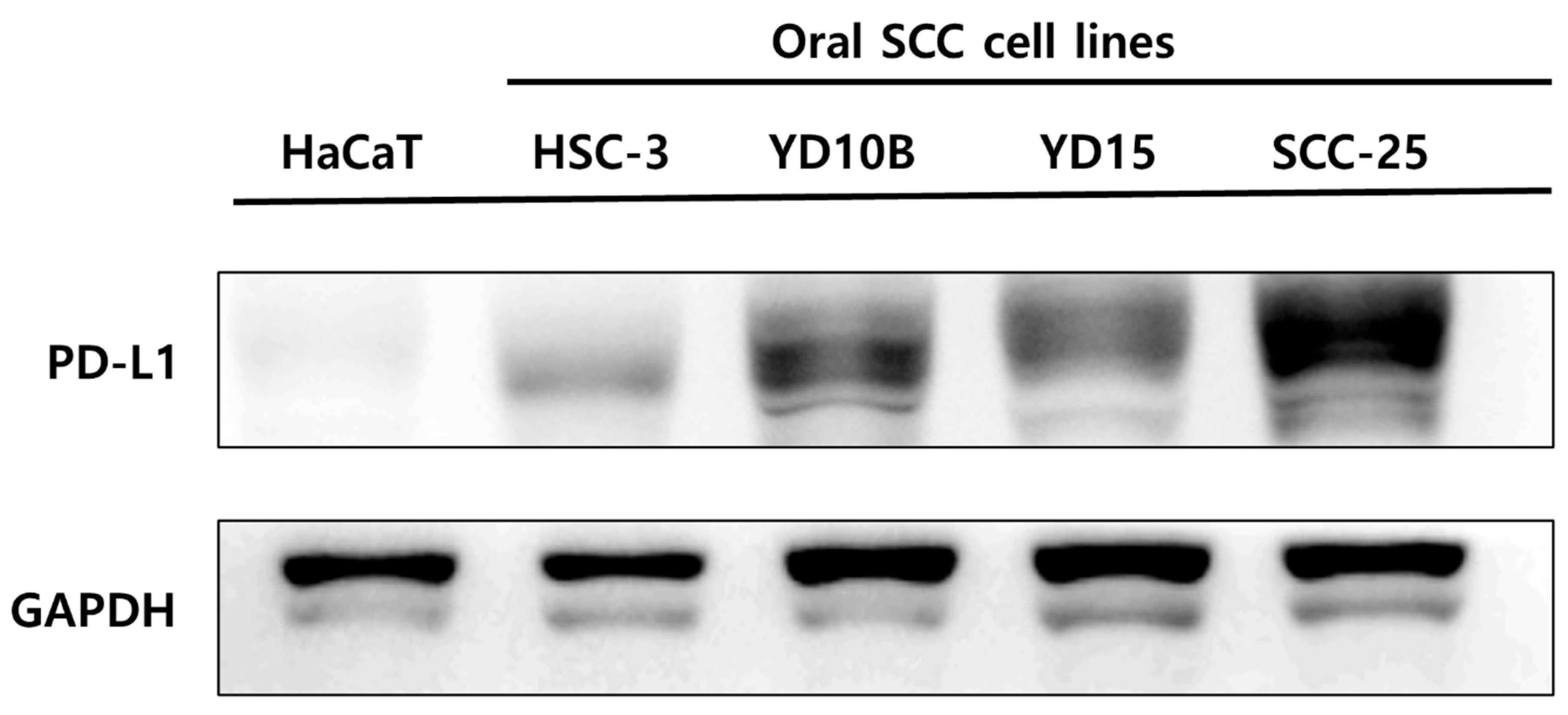 Applsci 11 04559 g002