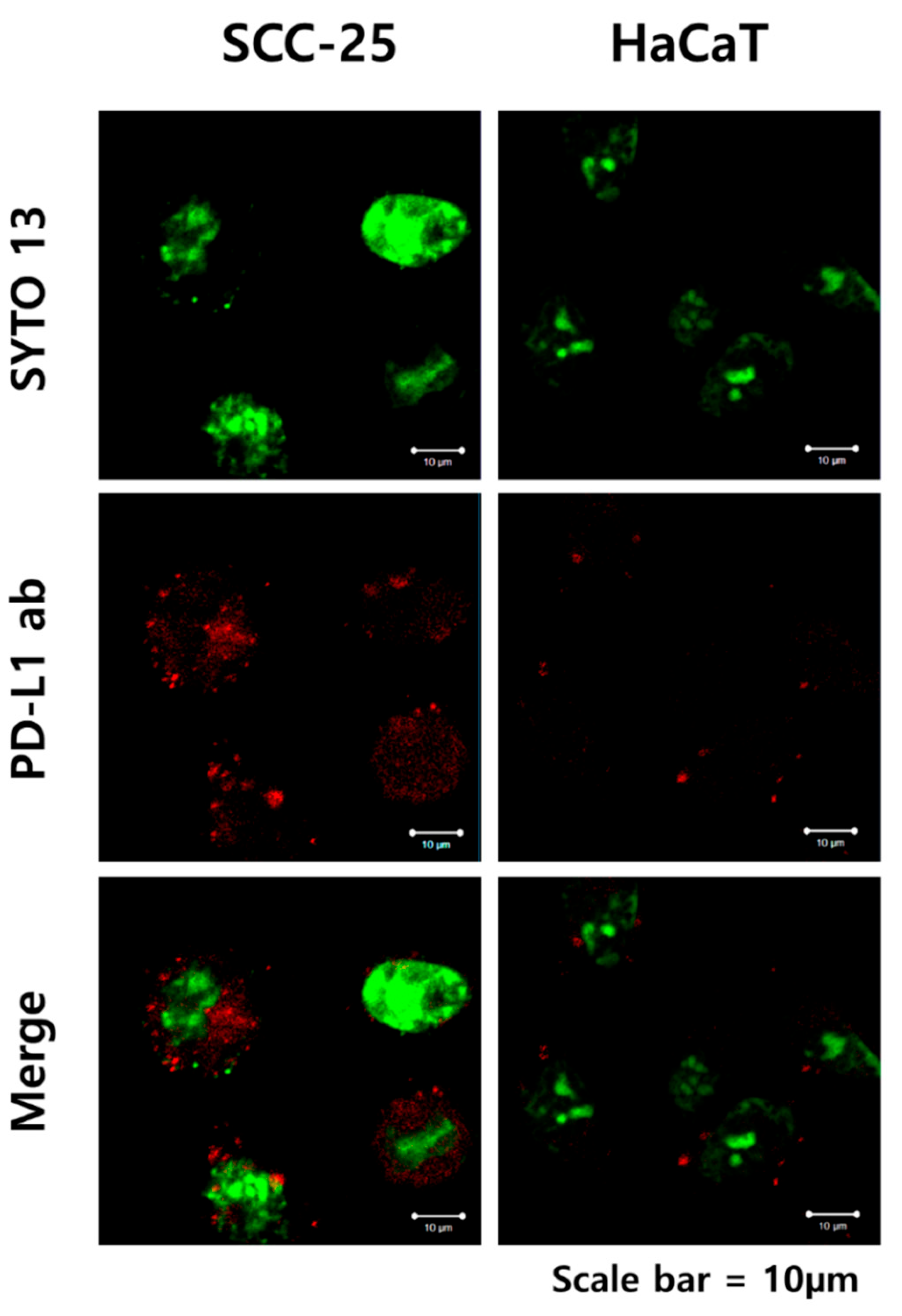 Applsci 11 04559 g003