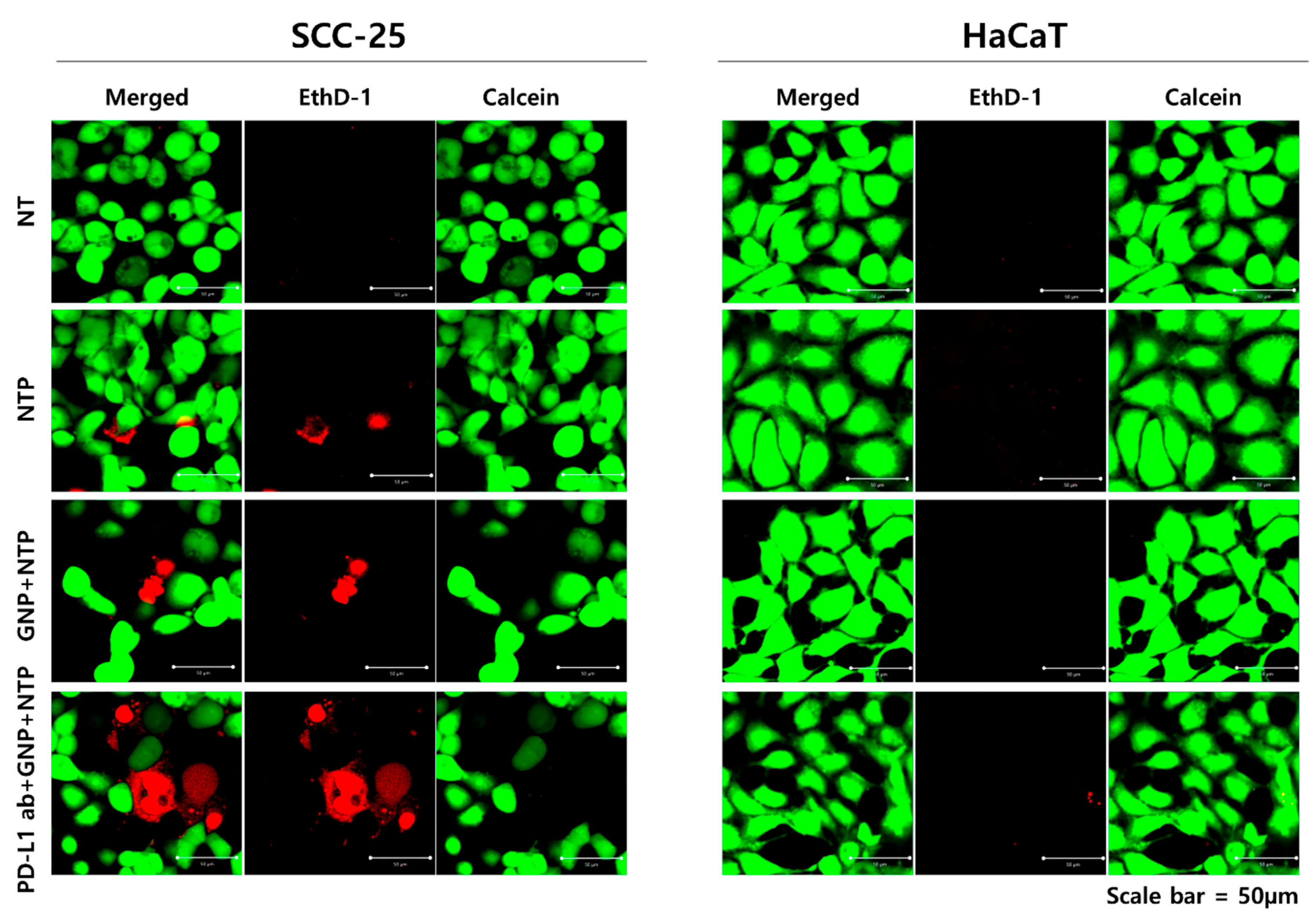 Applsci 11 04559 g005
