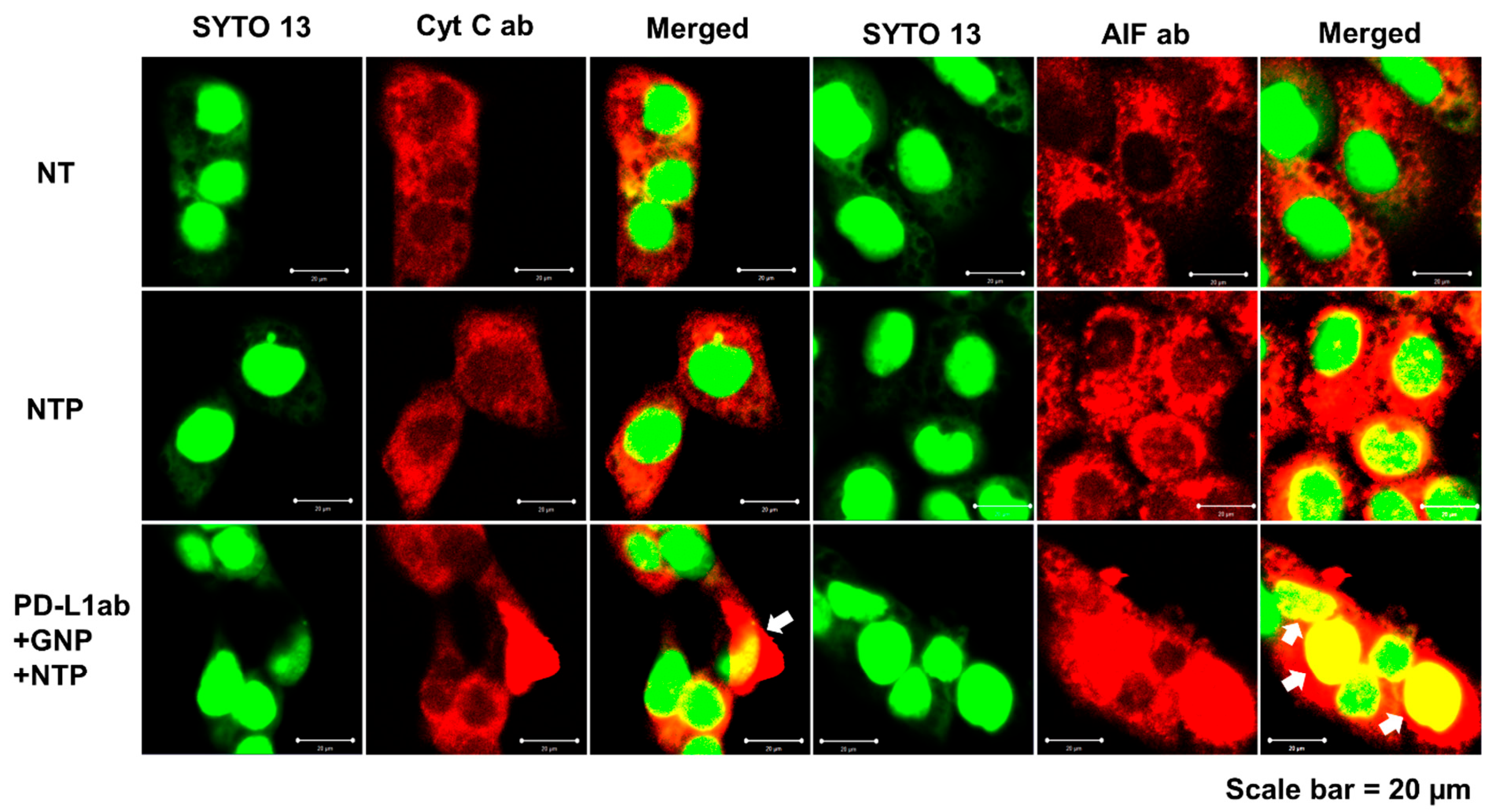 Applsci 11 04559 g007