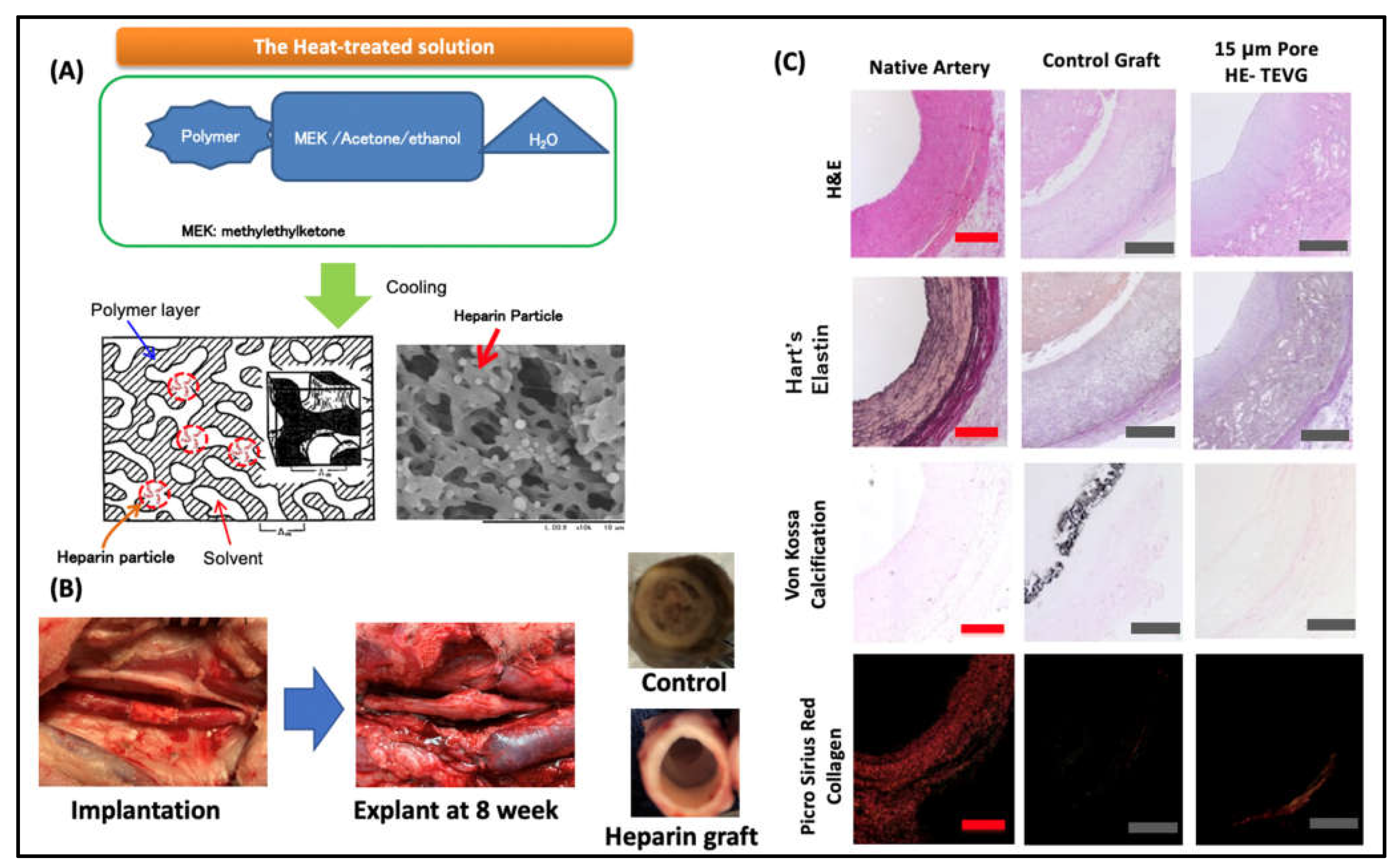 Applsci 11 04563 g001