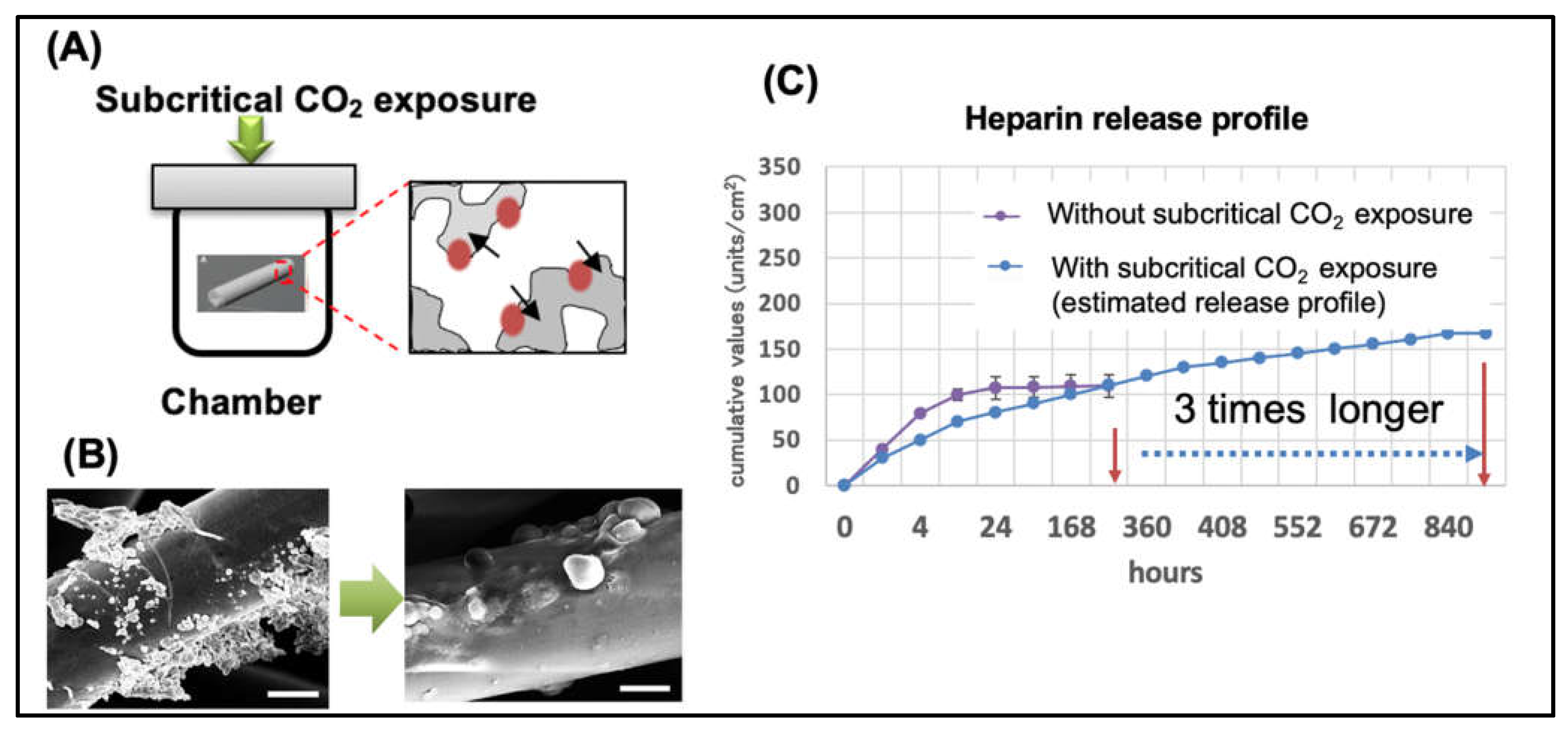 Applsci 11 04563 g002