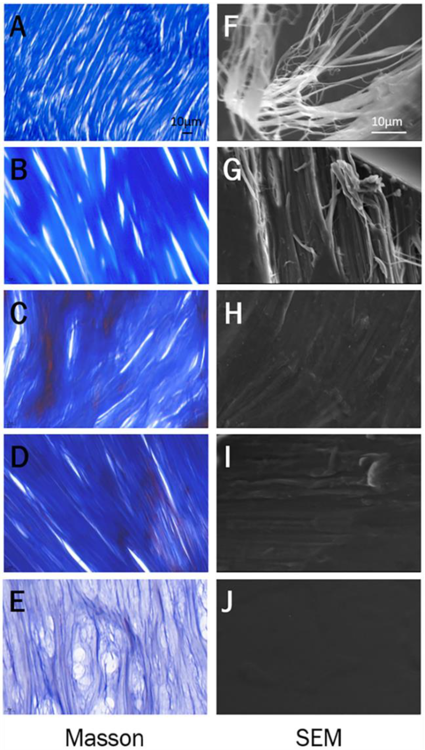 Applsci 11 04578 g006 Applsci 11 04578 g006