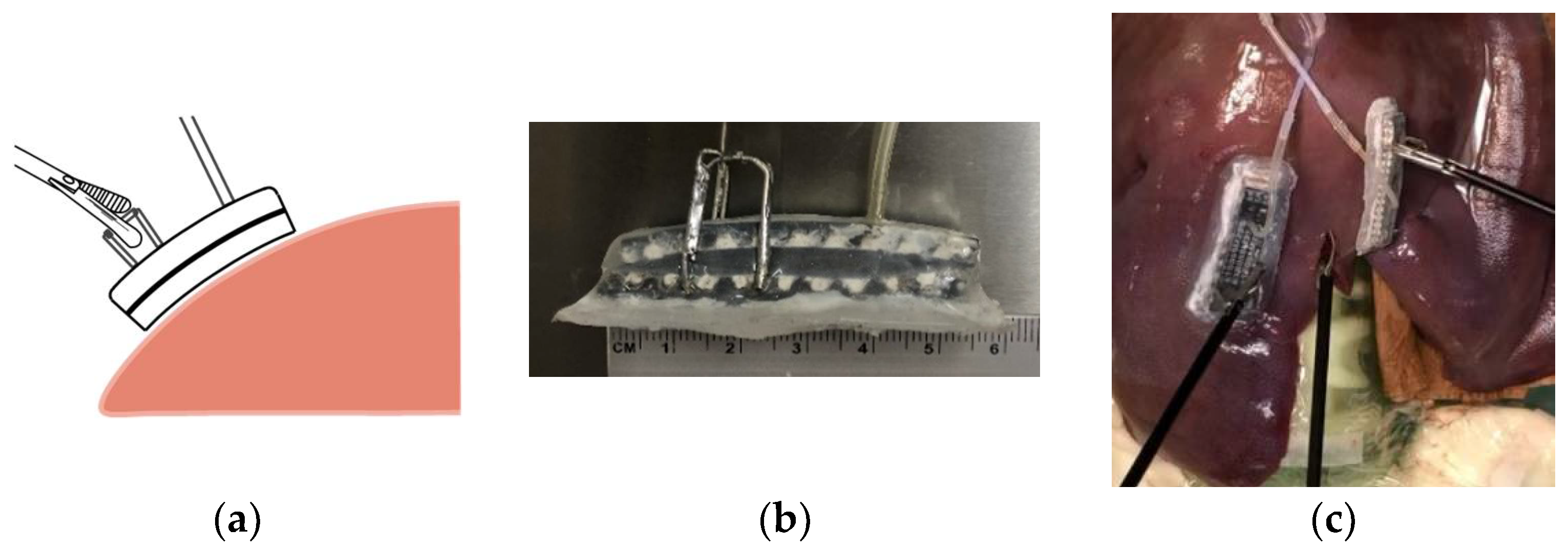 Applsci 11 04581 g001 Applsci 11 04581 g001