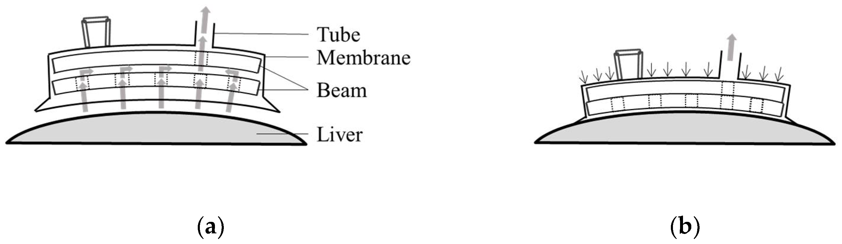 Applsci 11 04581 g002 Applsci 11 04581 g002