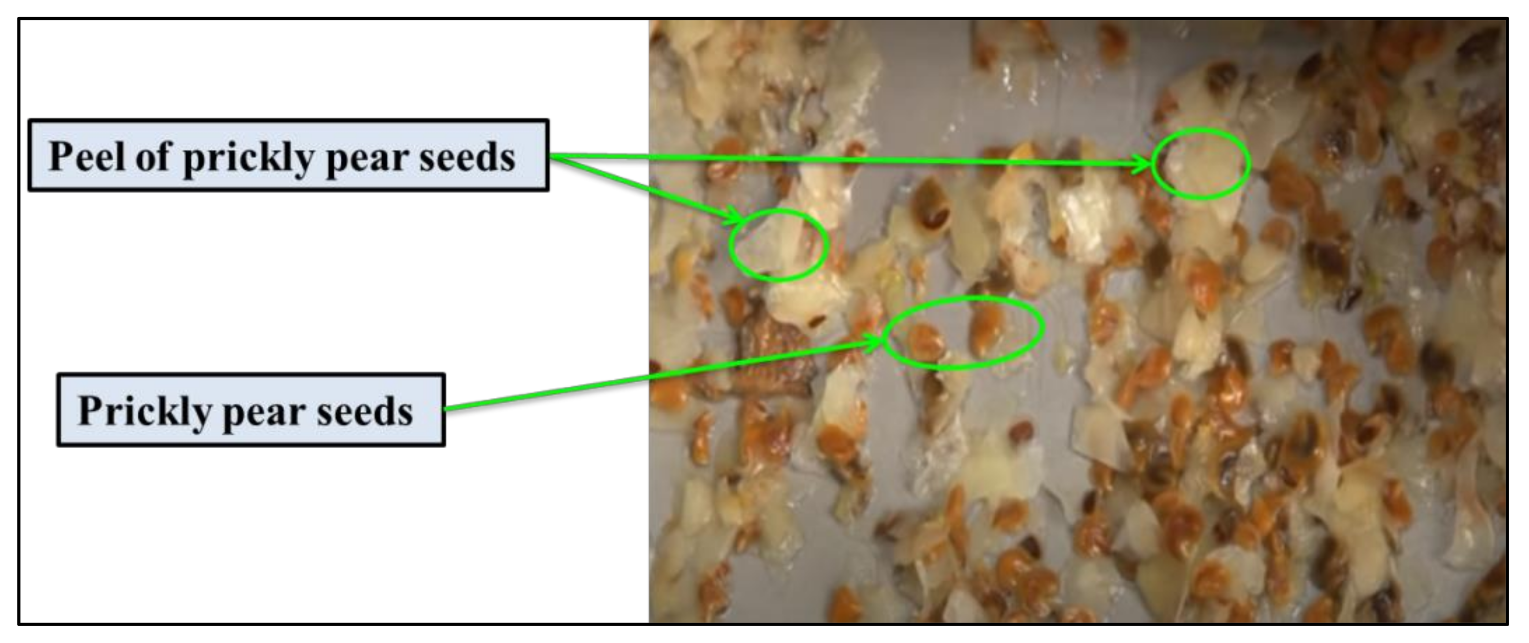 Applsci 11 04605 g001 Applsci 11 04605 g001