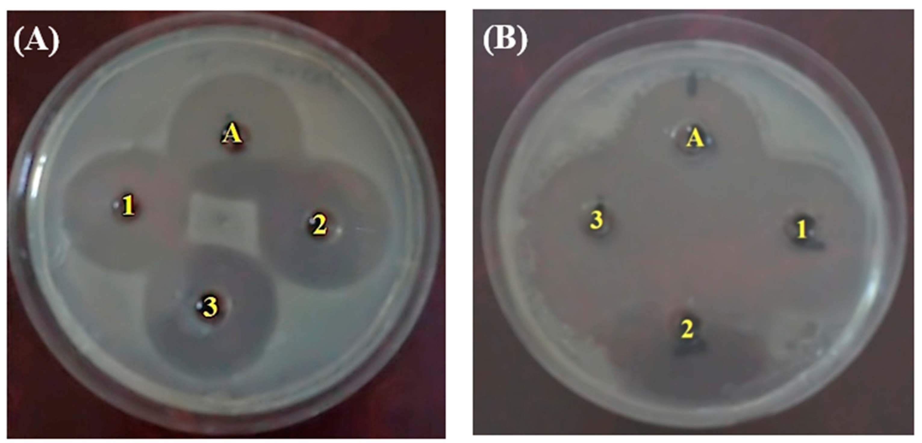 Applsci 11 04623 g011