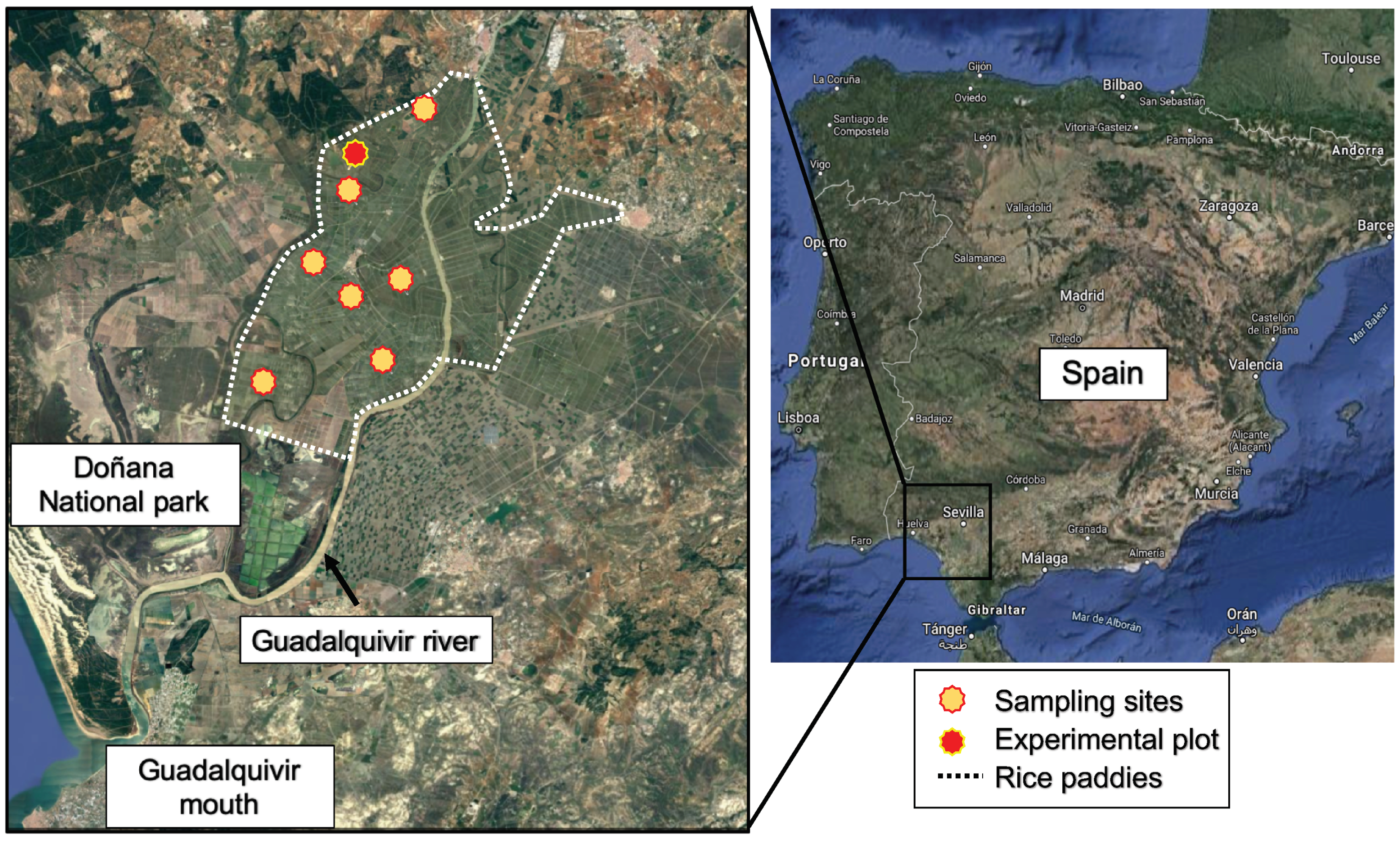Applsci 11 04628 g001 Applsci 11 04628 g001