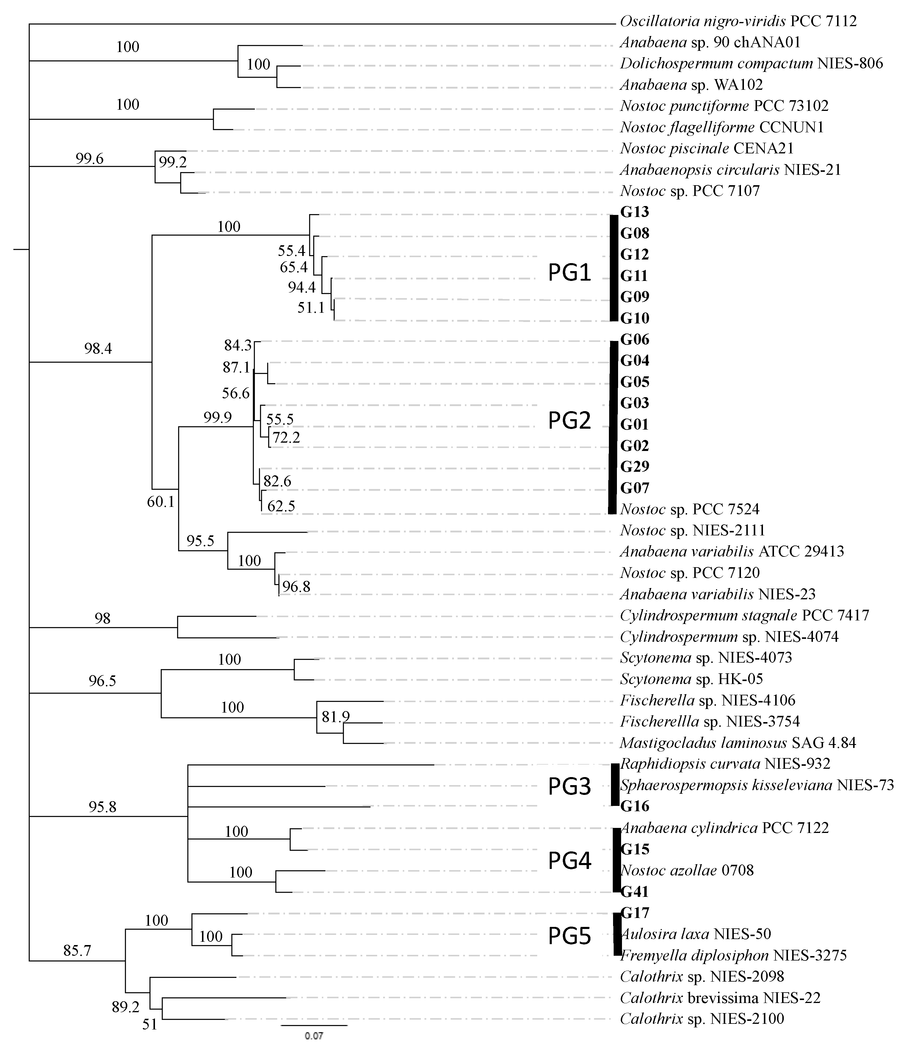 Applsci 11 04628 g003 Applsci 11 04628 g003