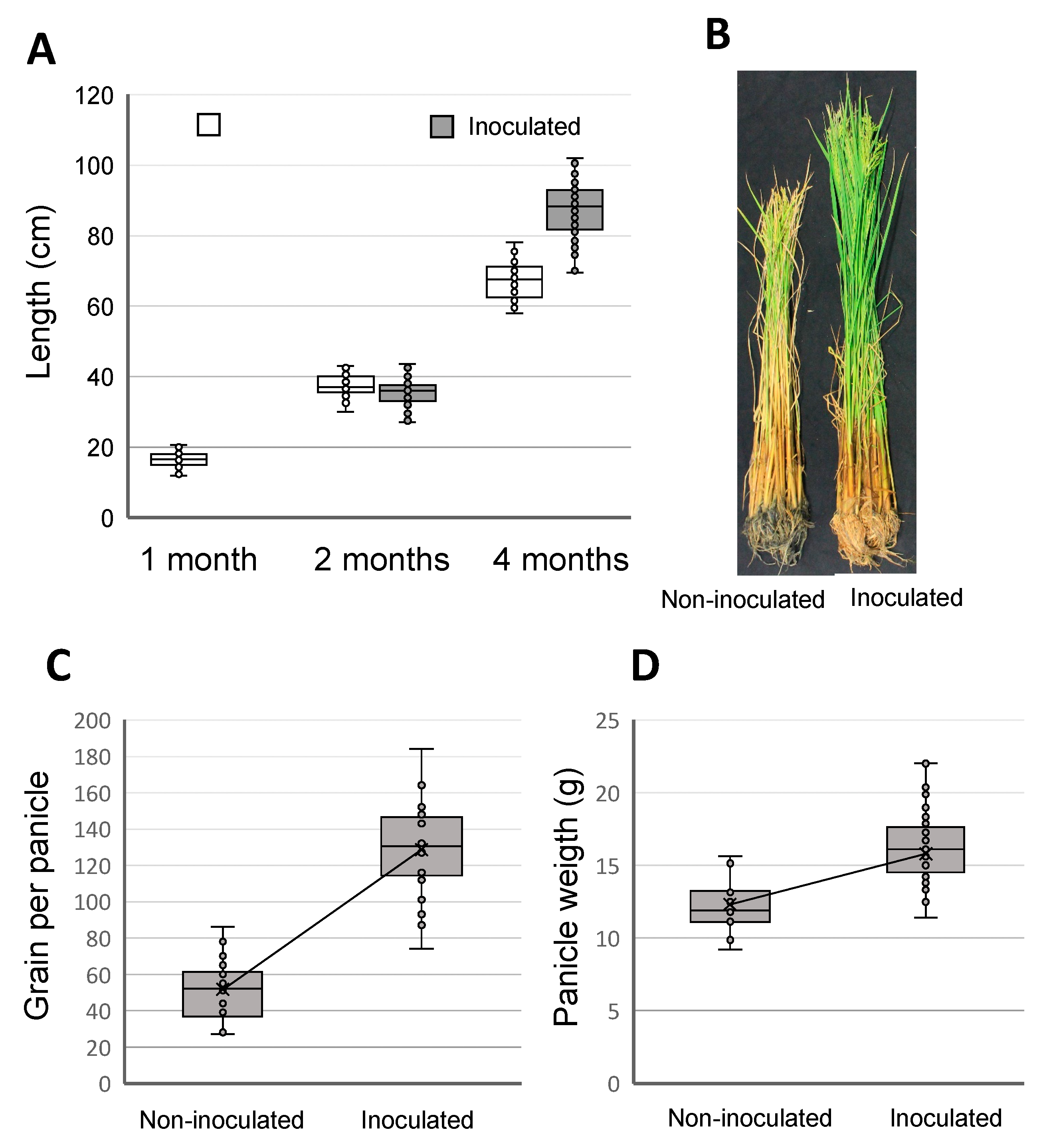 Applsci 11 04628 g005 Applsci 11 04628 g005