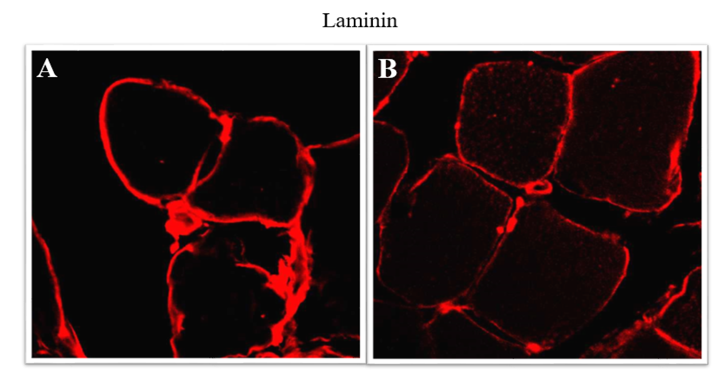 Applsci 11 04649 g001