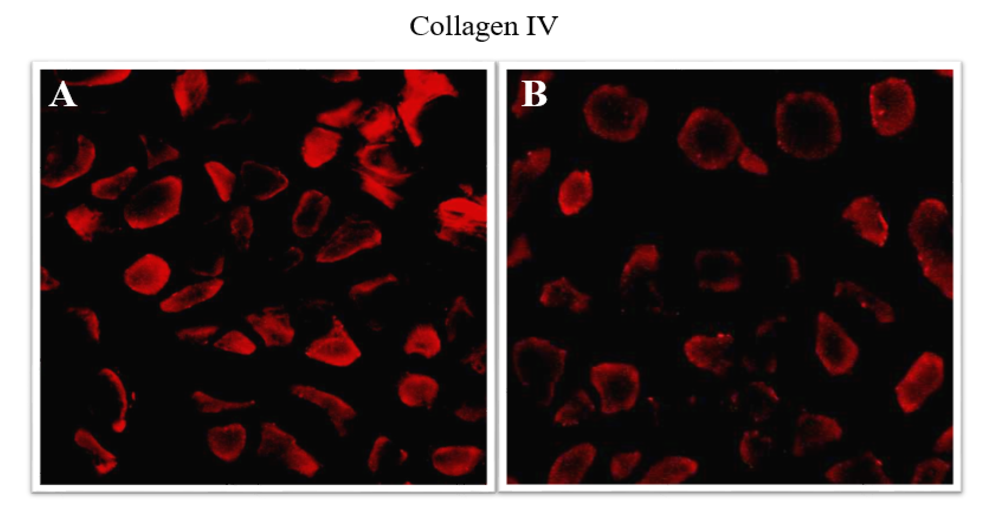 Applsci 11 04649 g002
