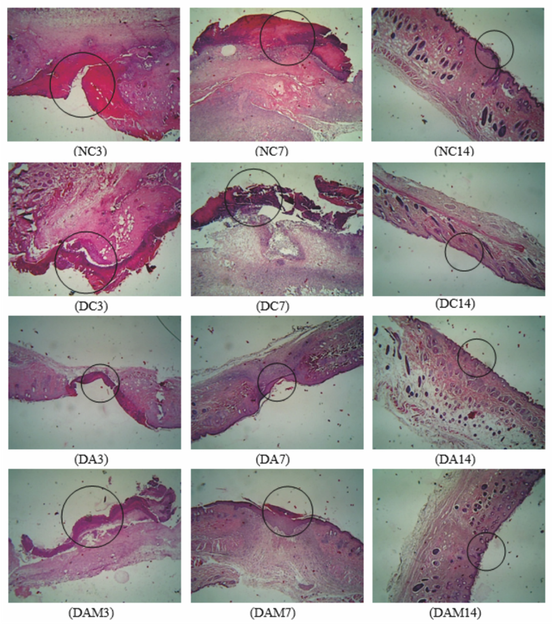 Applsci 11 04651 g003