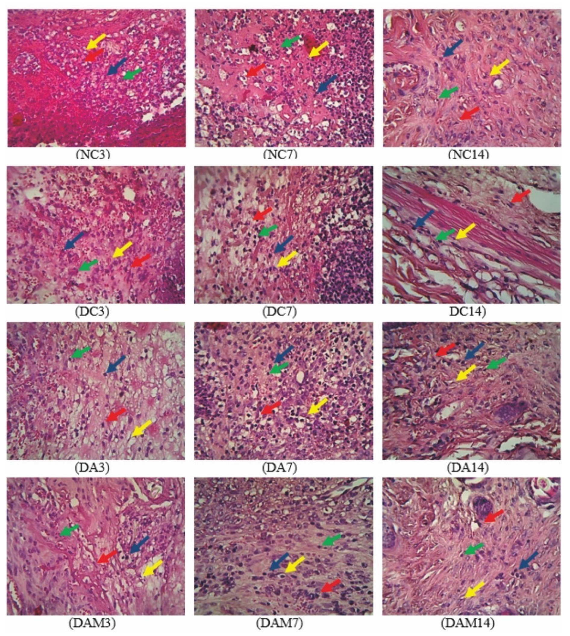 Applsci 11 04651 g004