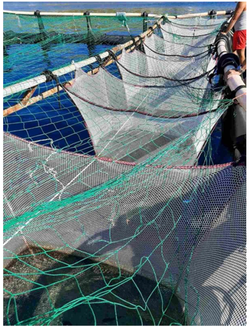 Applsci 11 04656 g001 Applsci 11 04656 g001