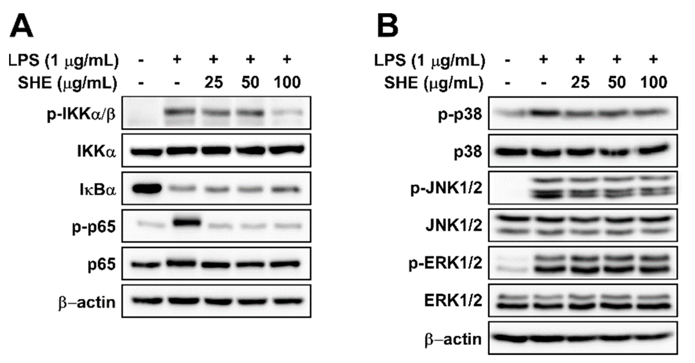 Applsci 11 04711 g002 Applsci 11 04711 g002
