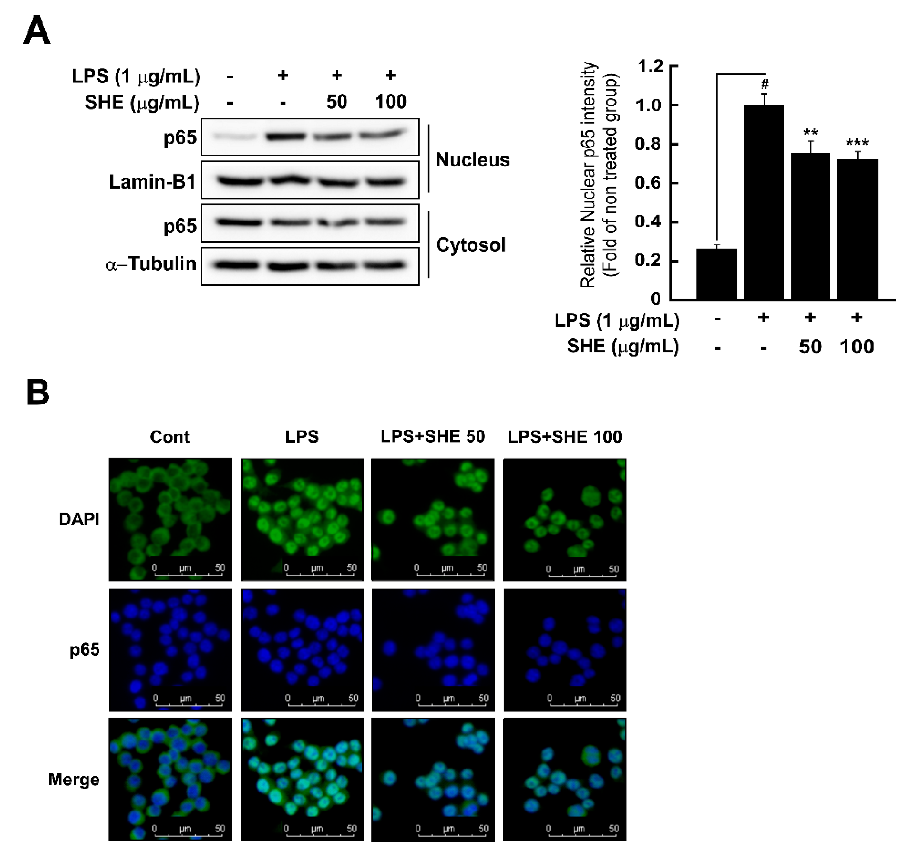 Applsci 11 04711 g003 Applsci 11 04711 g003