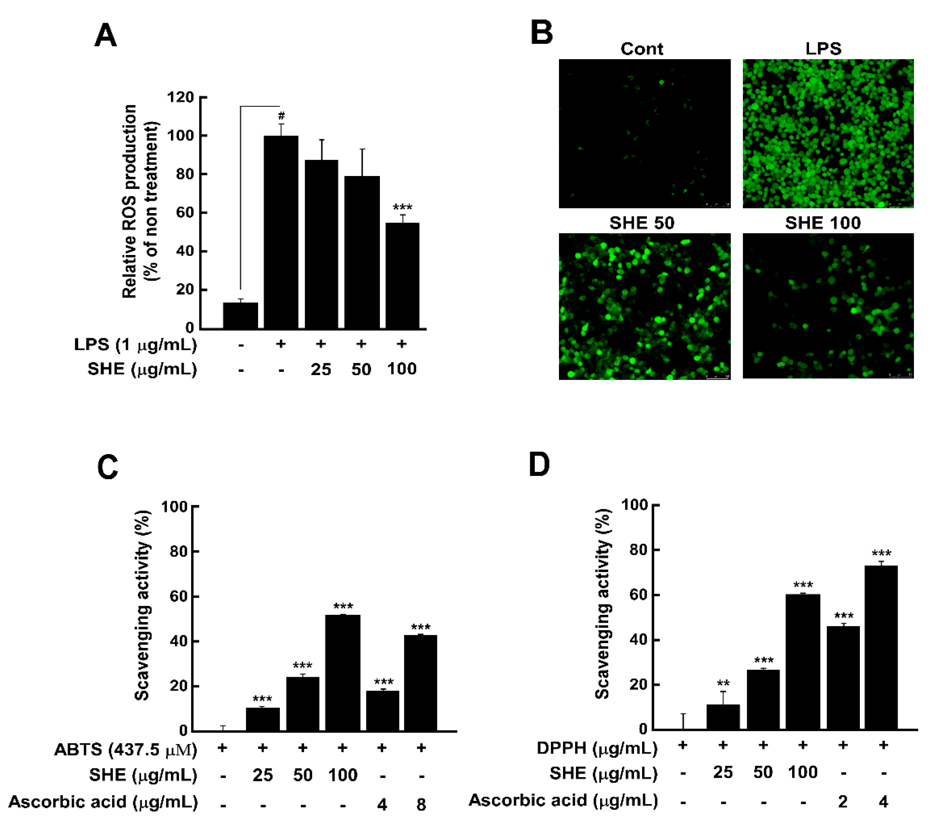Applsci 11 04711 g004 Applsci 11 04711 g004