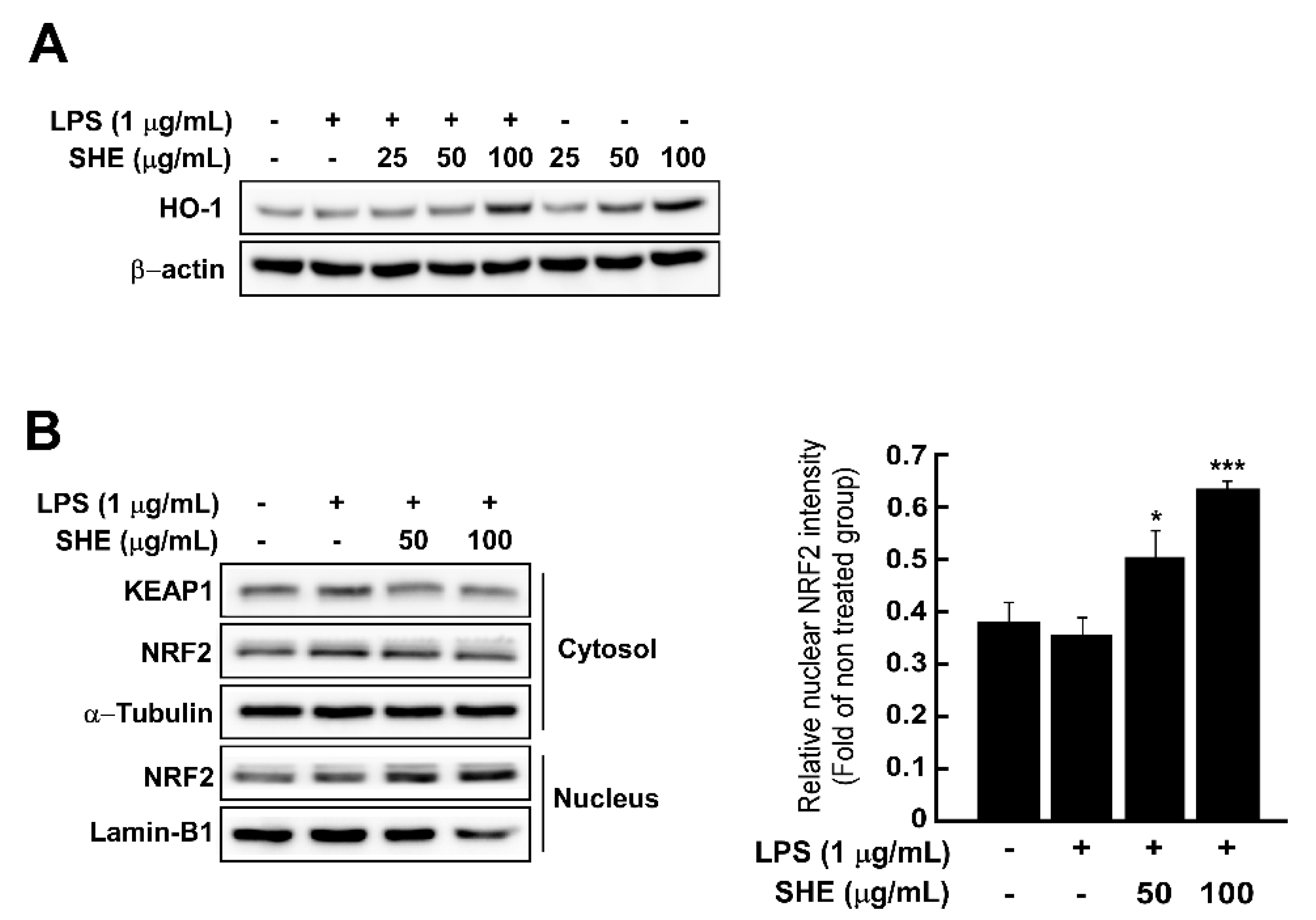 Applsci 11 04711 g005 Applsci 11 04711 g005