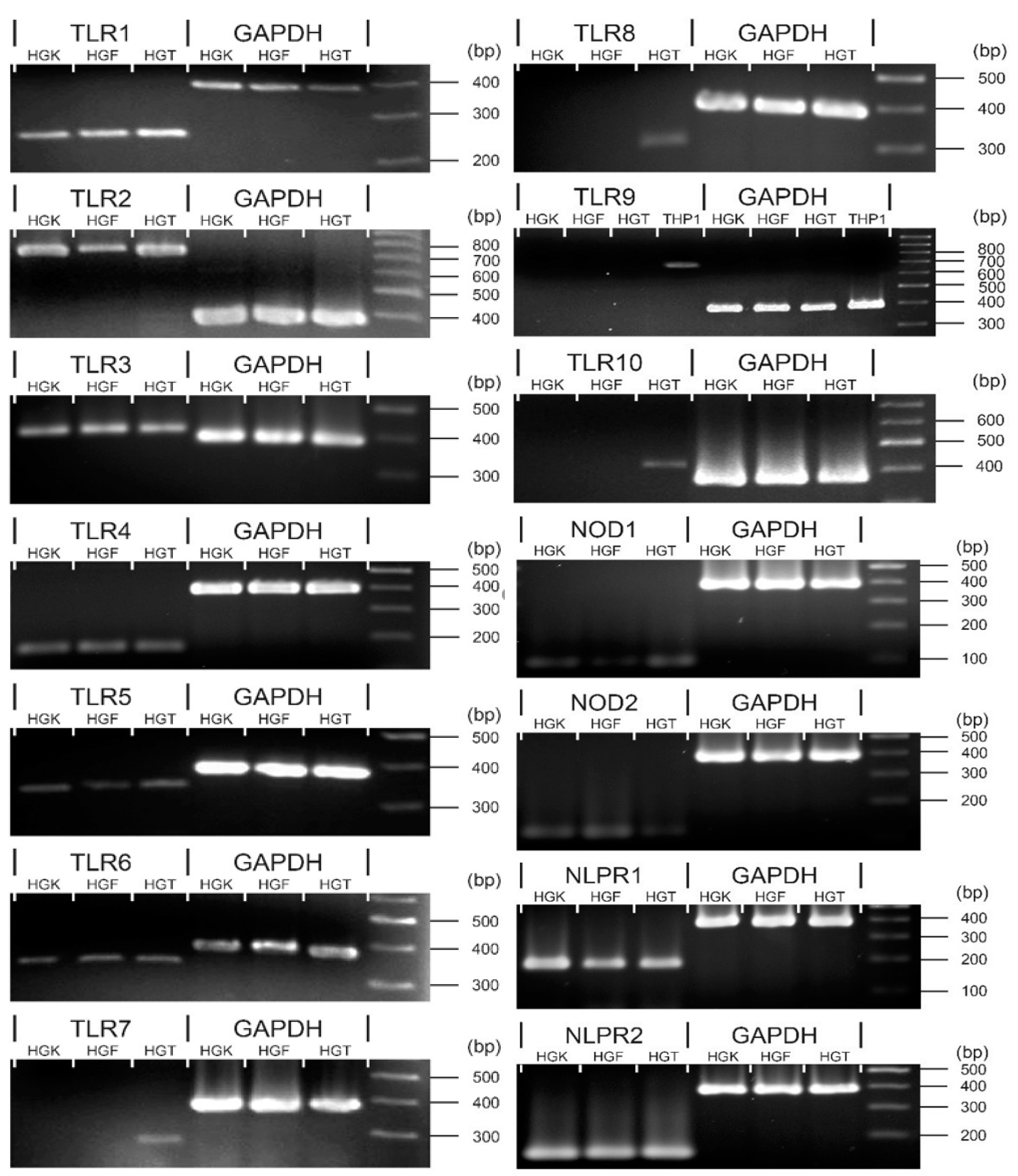 Applsci 11 04724 g002