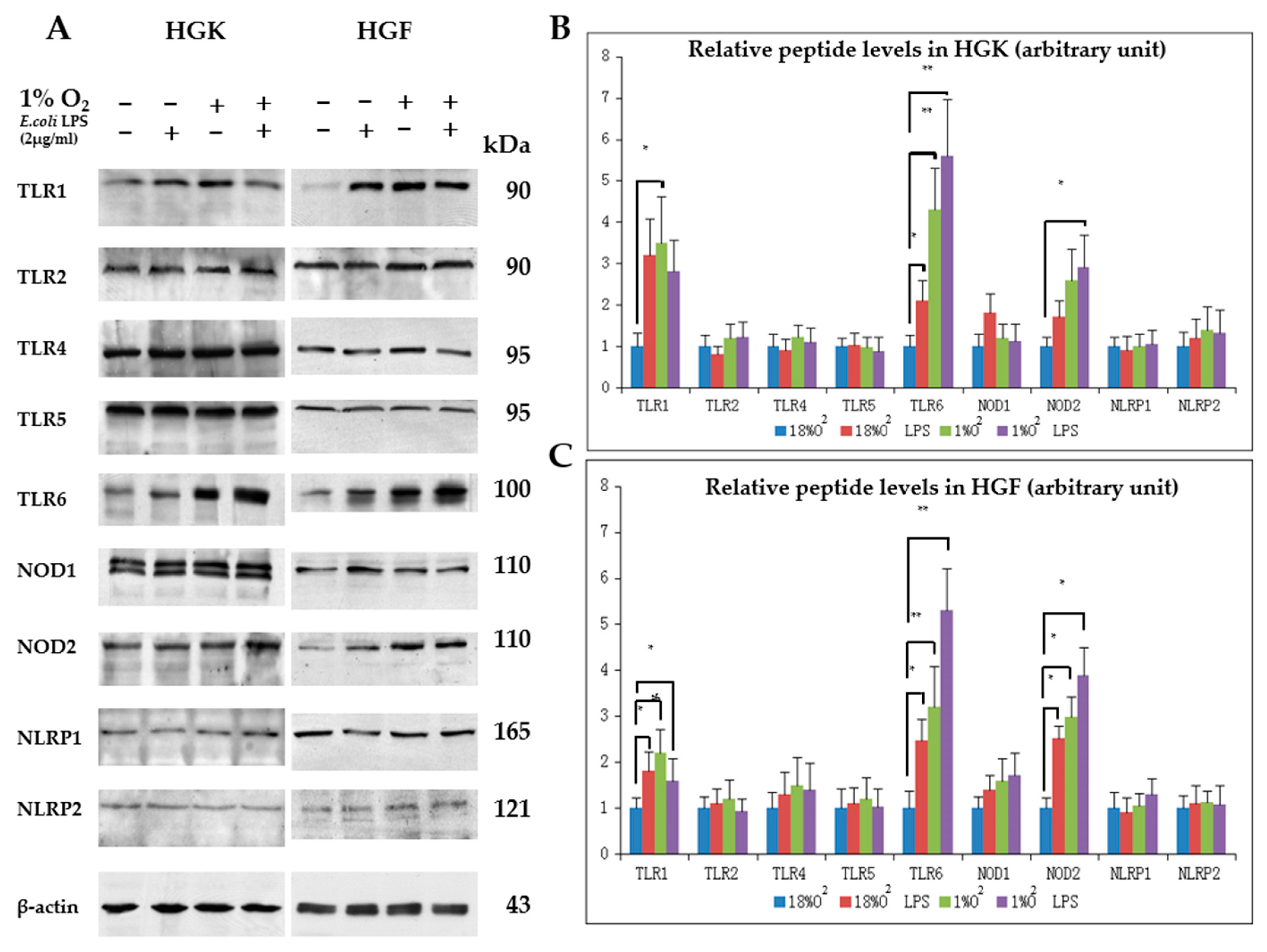 Applsci 11 04724 g003
