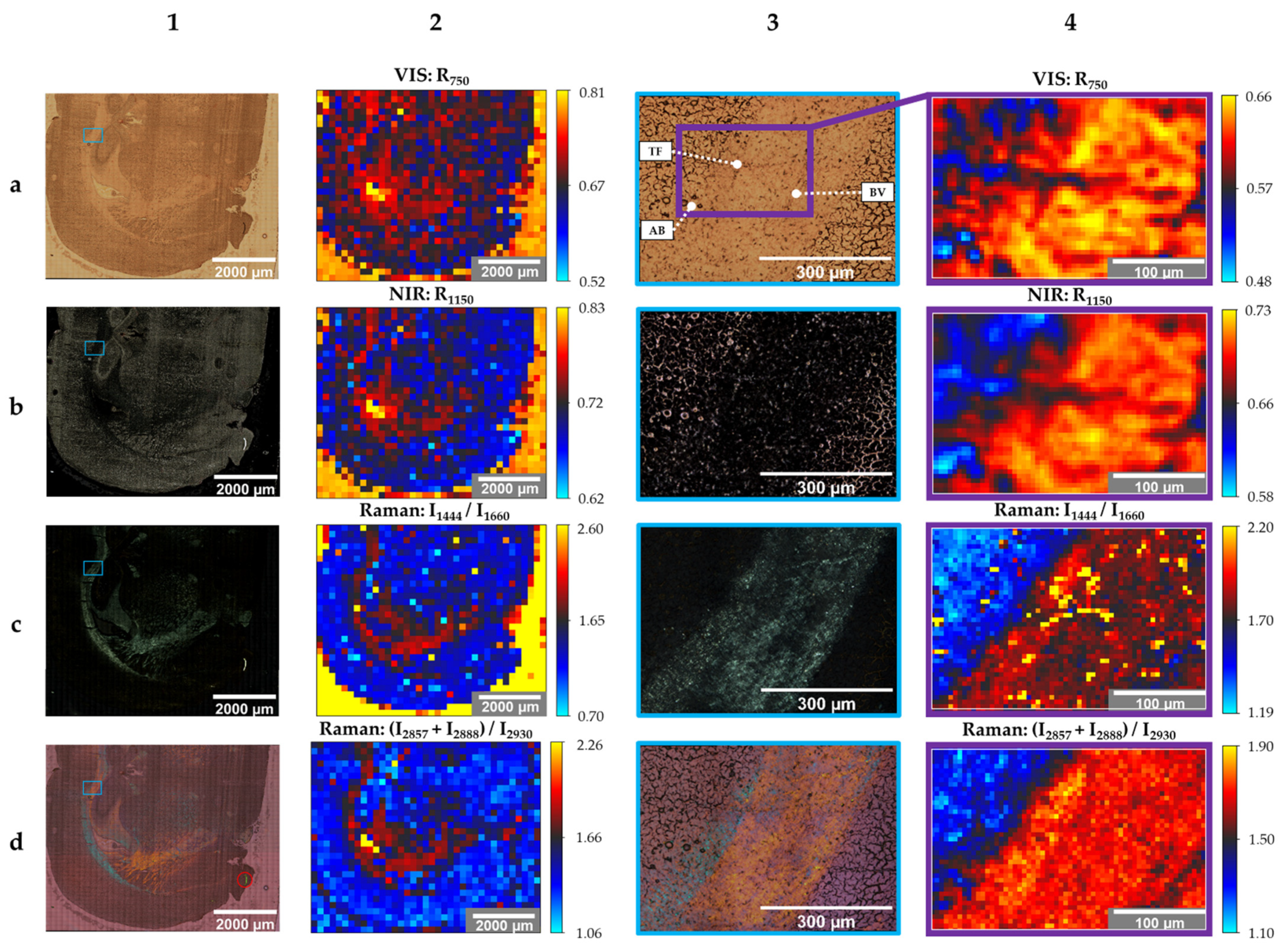 Applsci 11 04777 g003