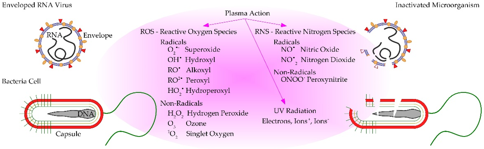 Applsci 11 04809 g002