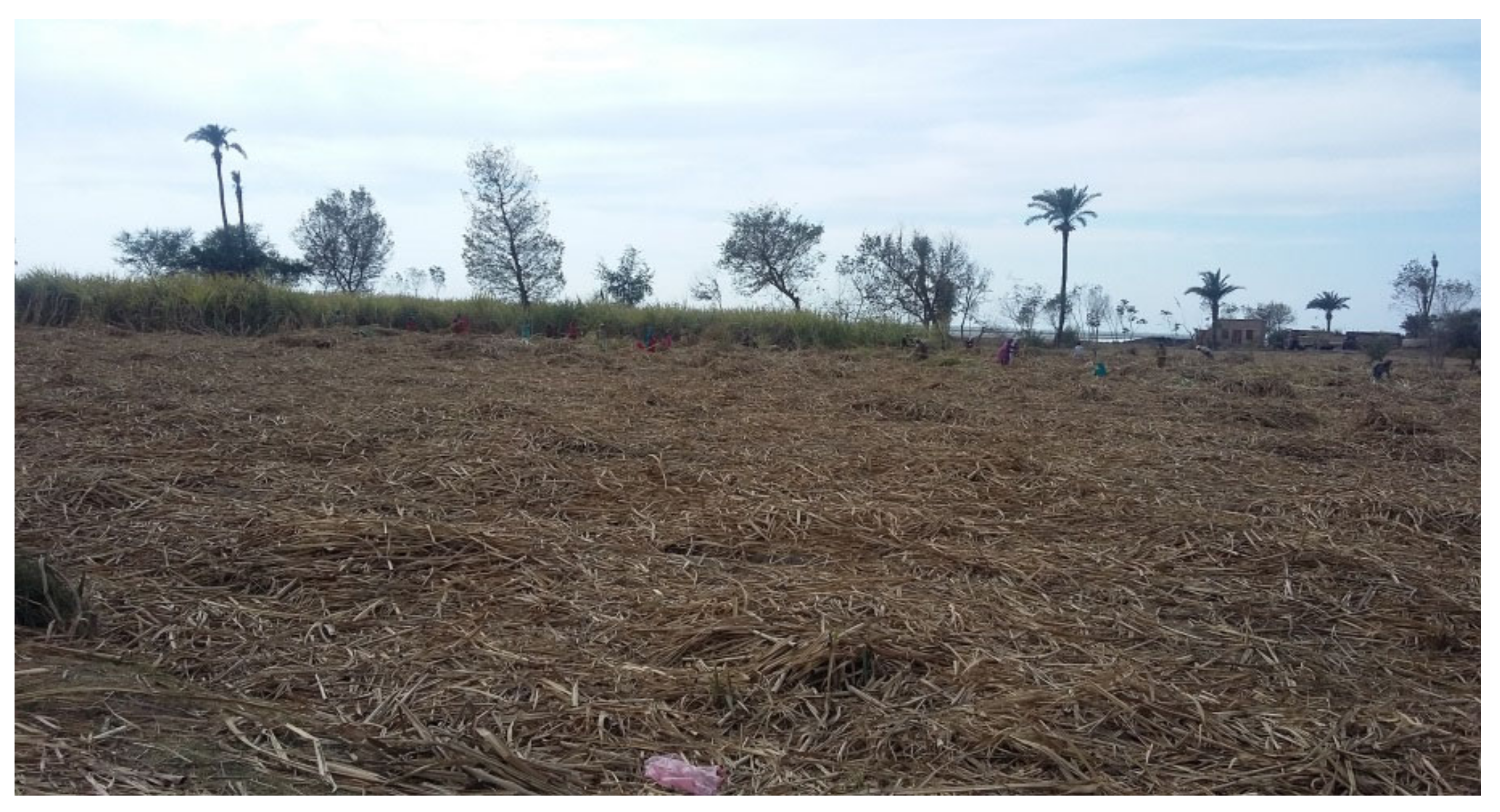 Applsci 11 04823 g013 Applsci 11 04823 g013