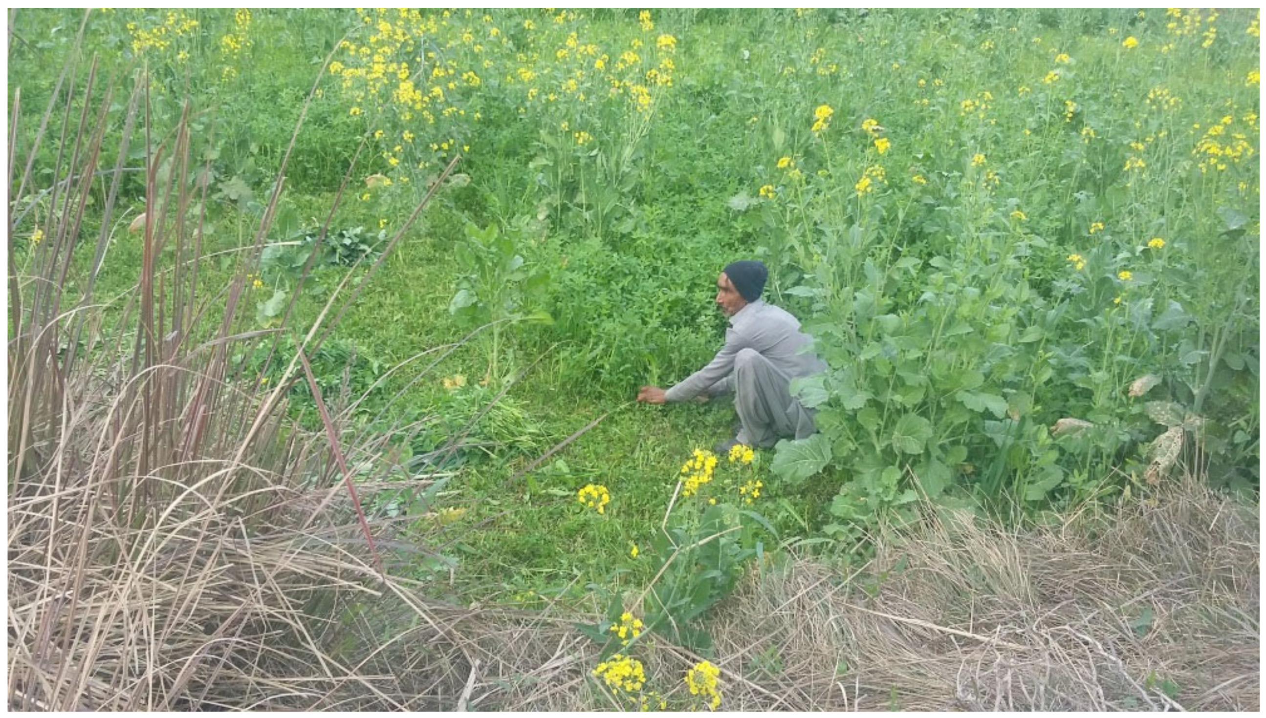 Applsci 11 04823 g014 Applsci 11 04823 g014