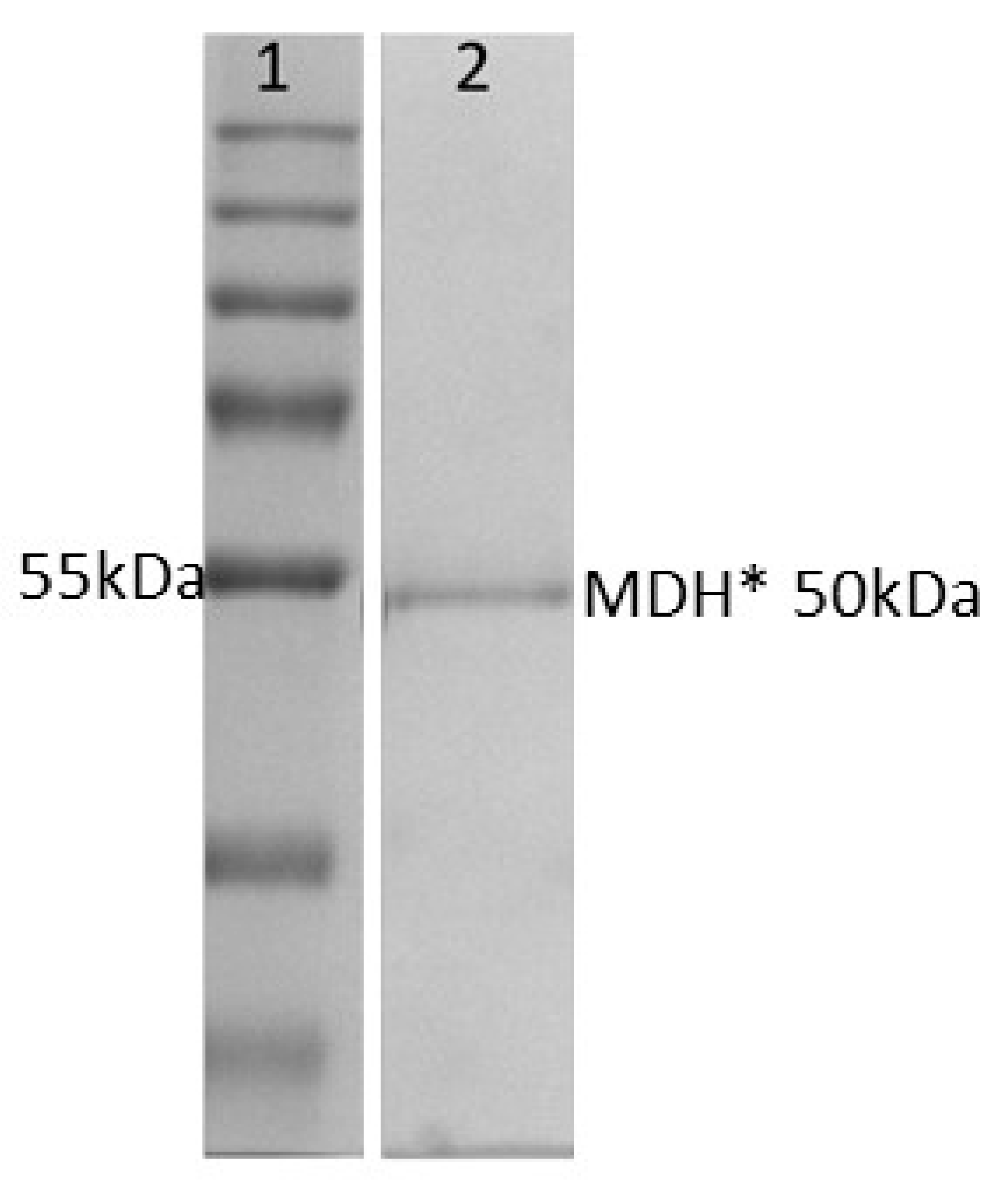 Applsci 11 04877 g001