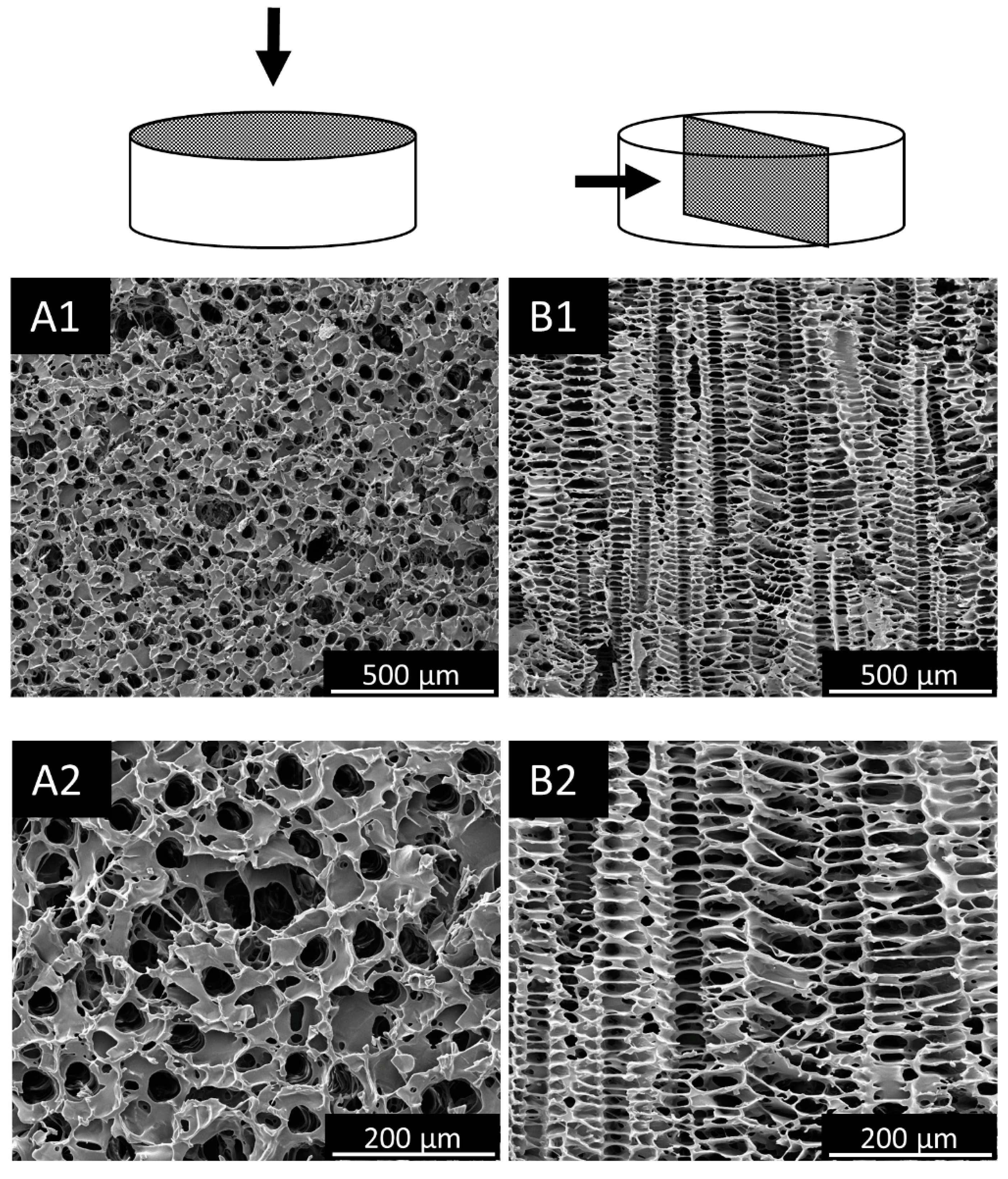 Applsci 11 05004 g001