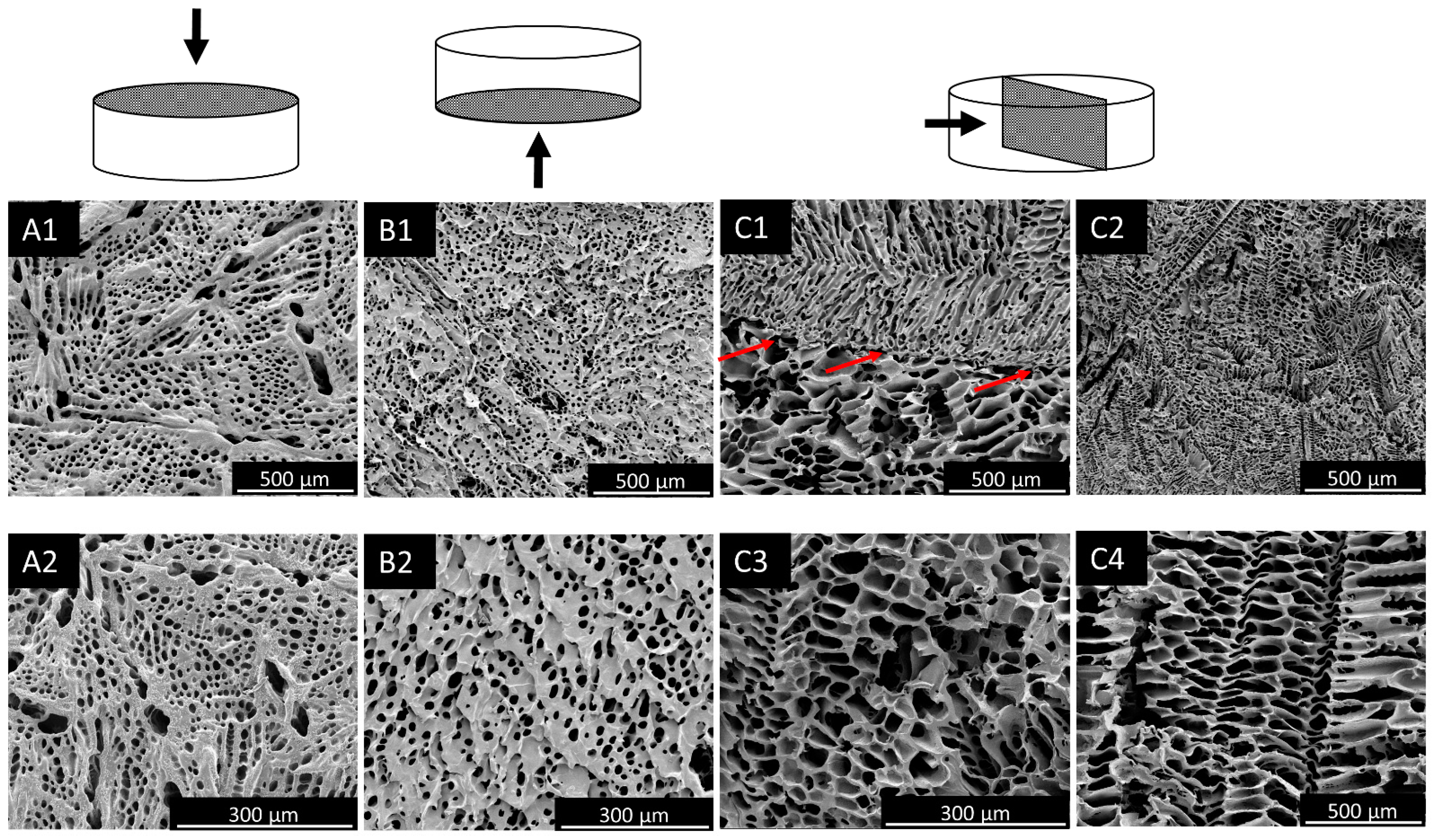 Applsci 11 05004 g003