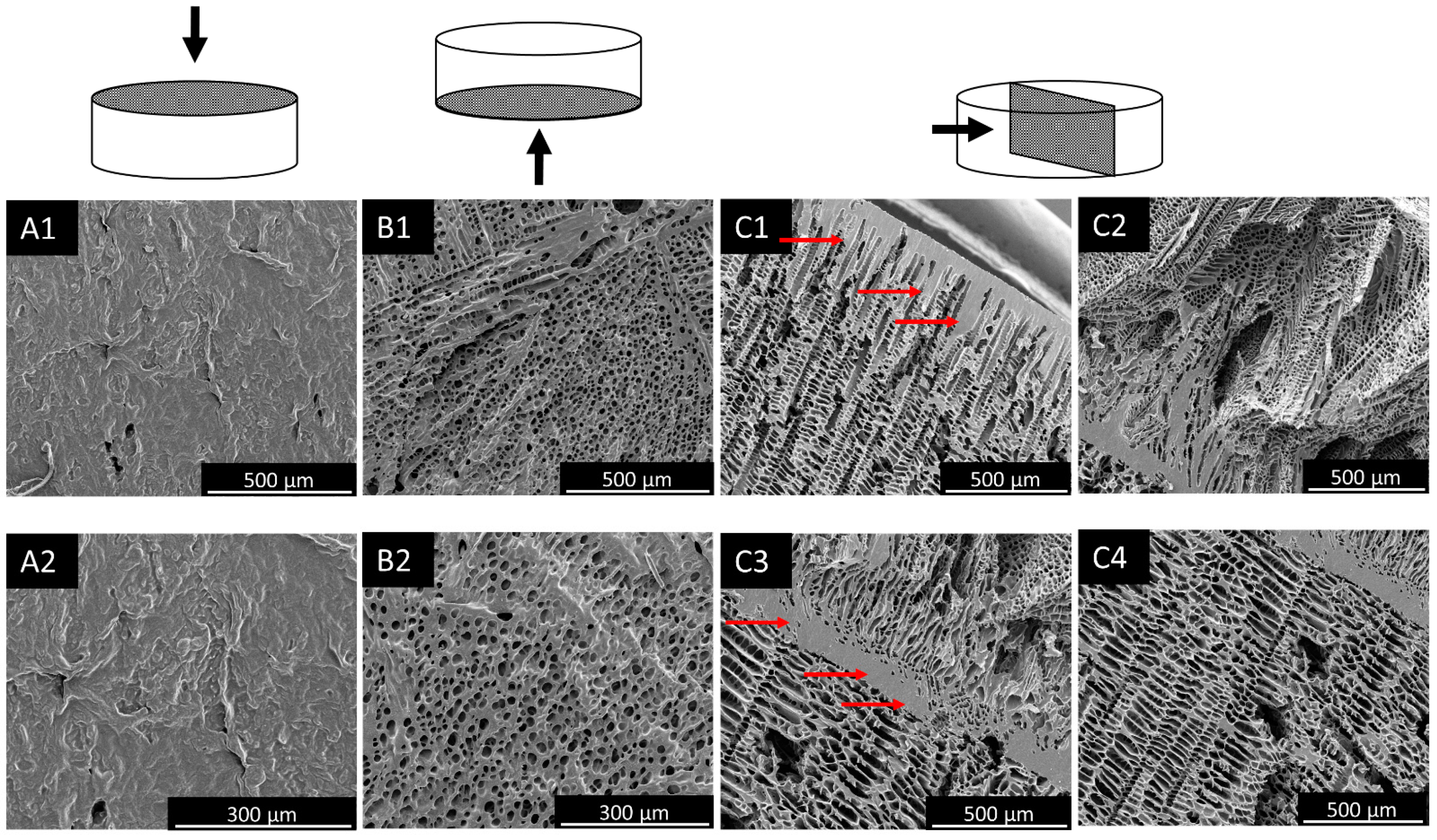 Applsci 11 05004 g004