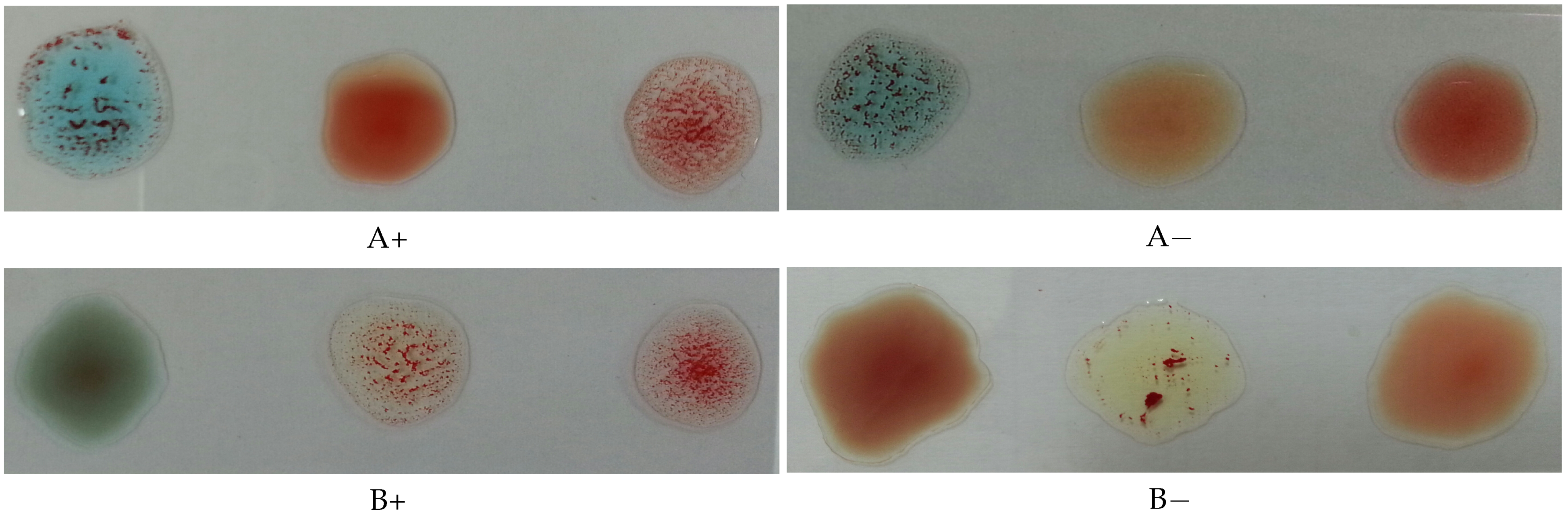 Applsci 11 05225 g002a