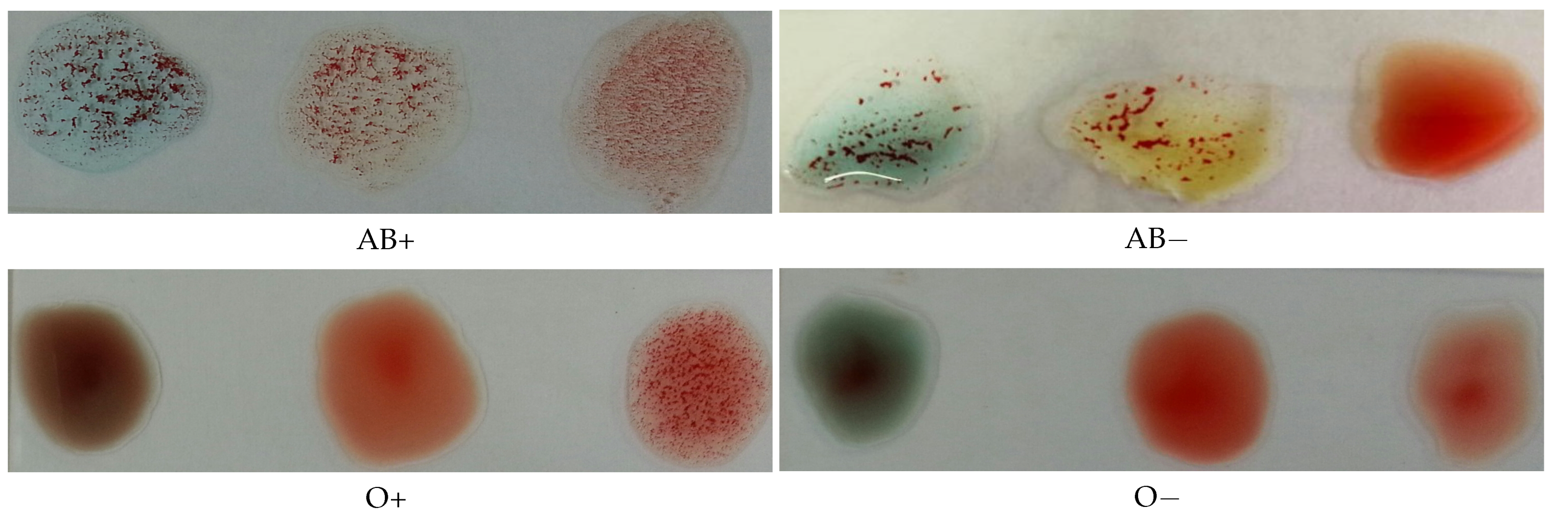 Applsci 11 05225 g002b