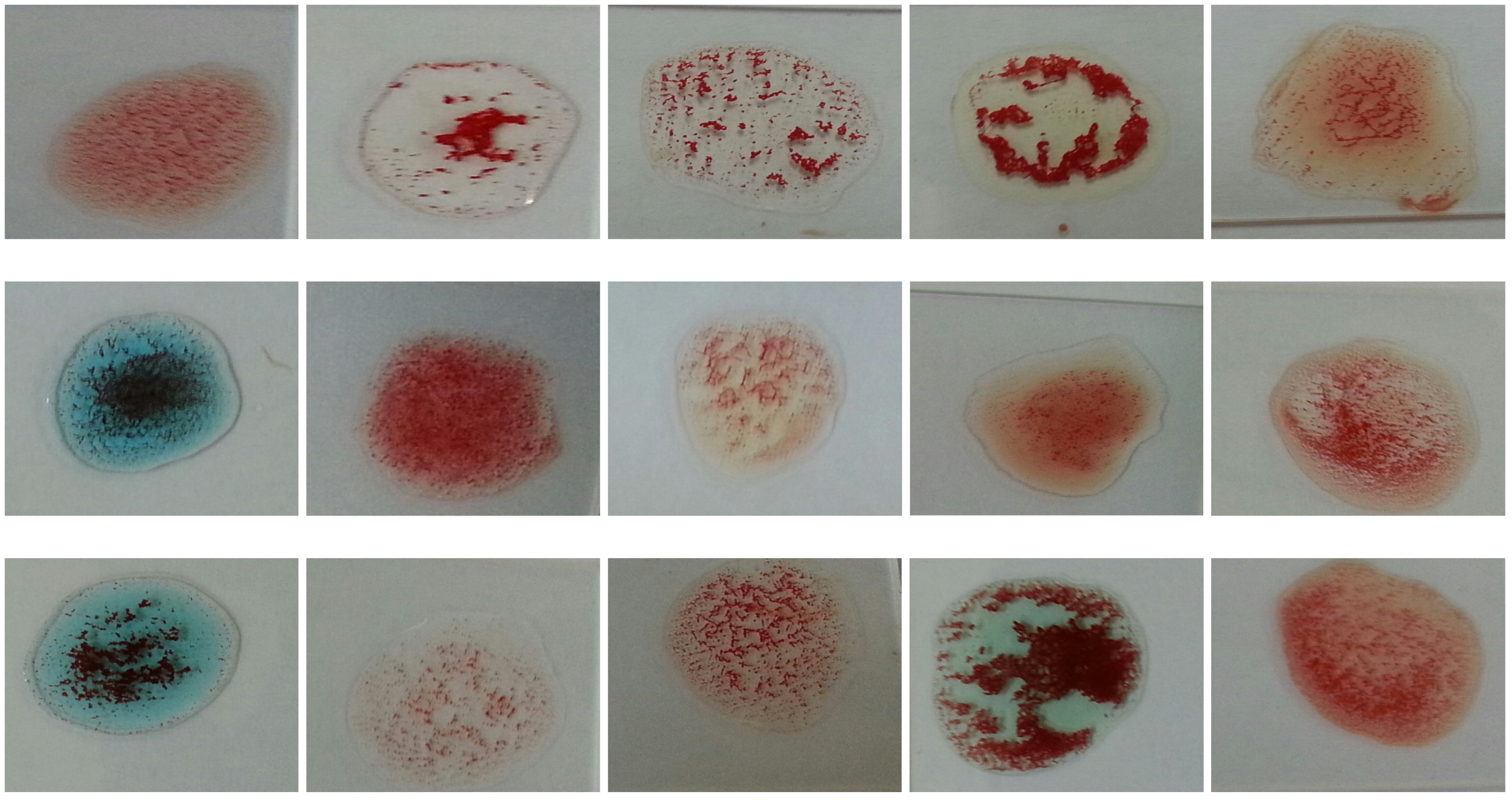 Applsci 11 05225 g007