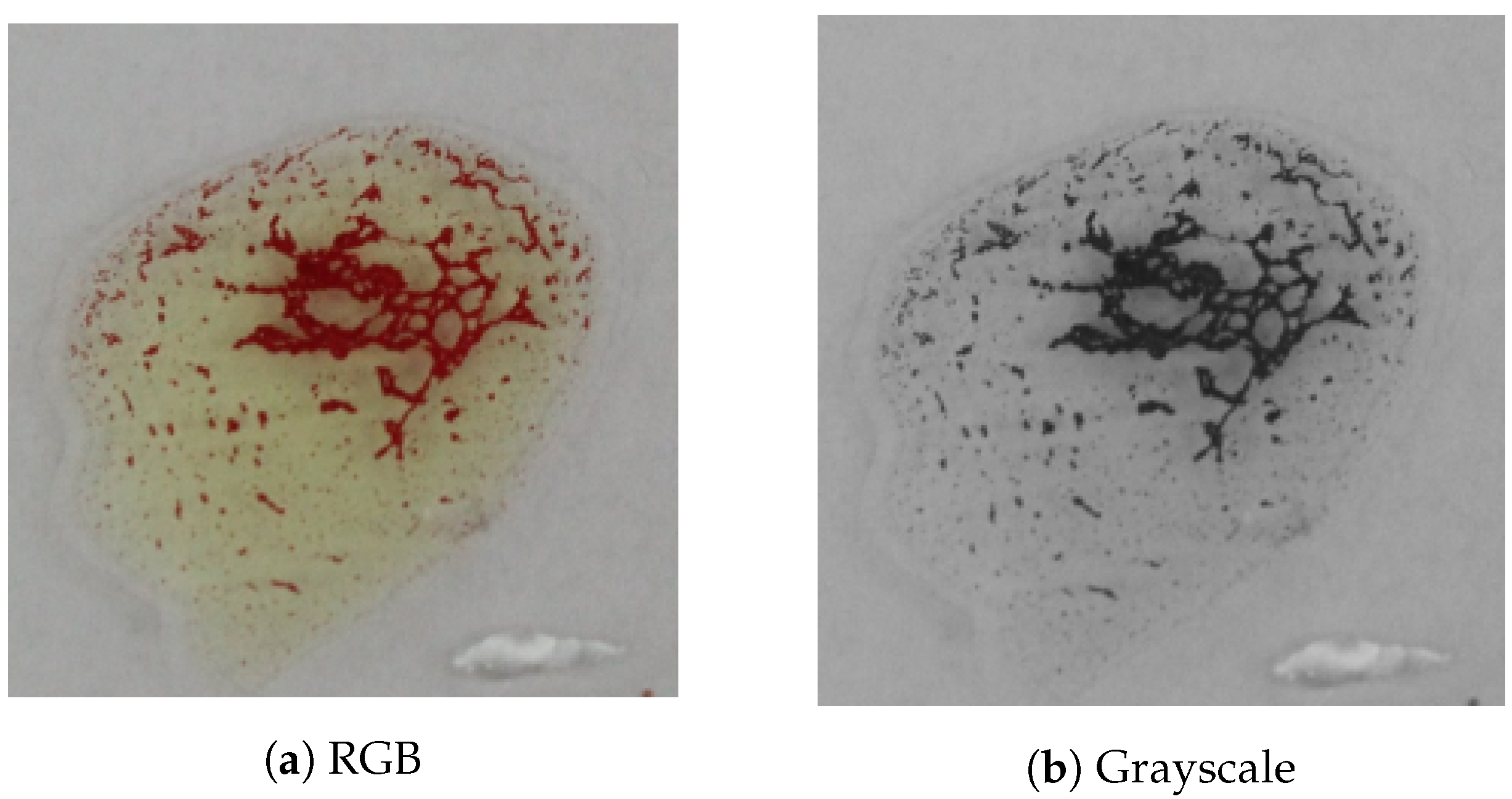 Applsci 11 05225 g013