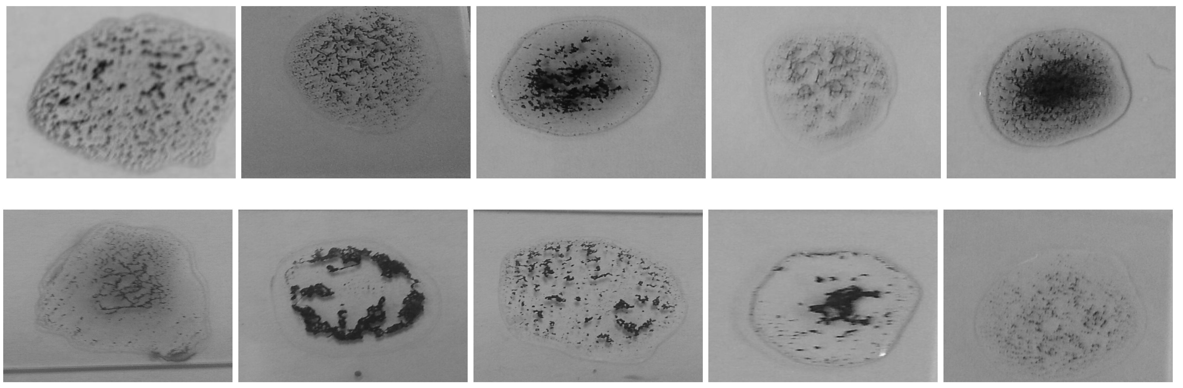 Applsci 11 05225 g014