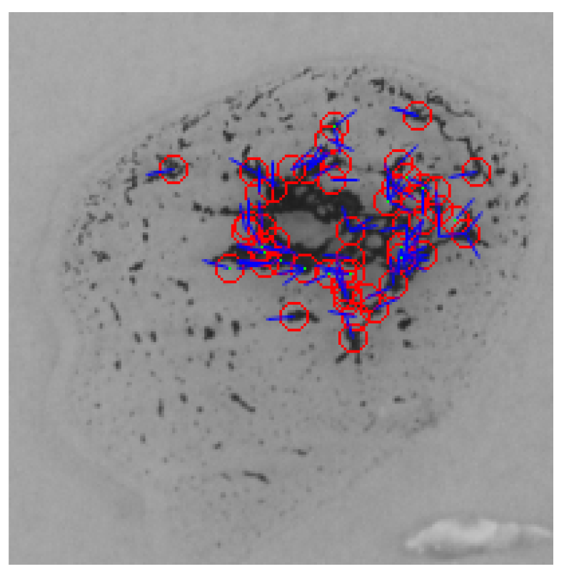 Applsci 11 05225 g016