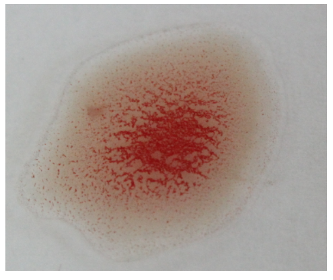 Applsci 11 05225 g020