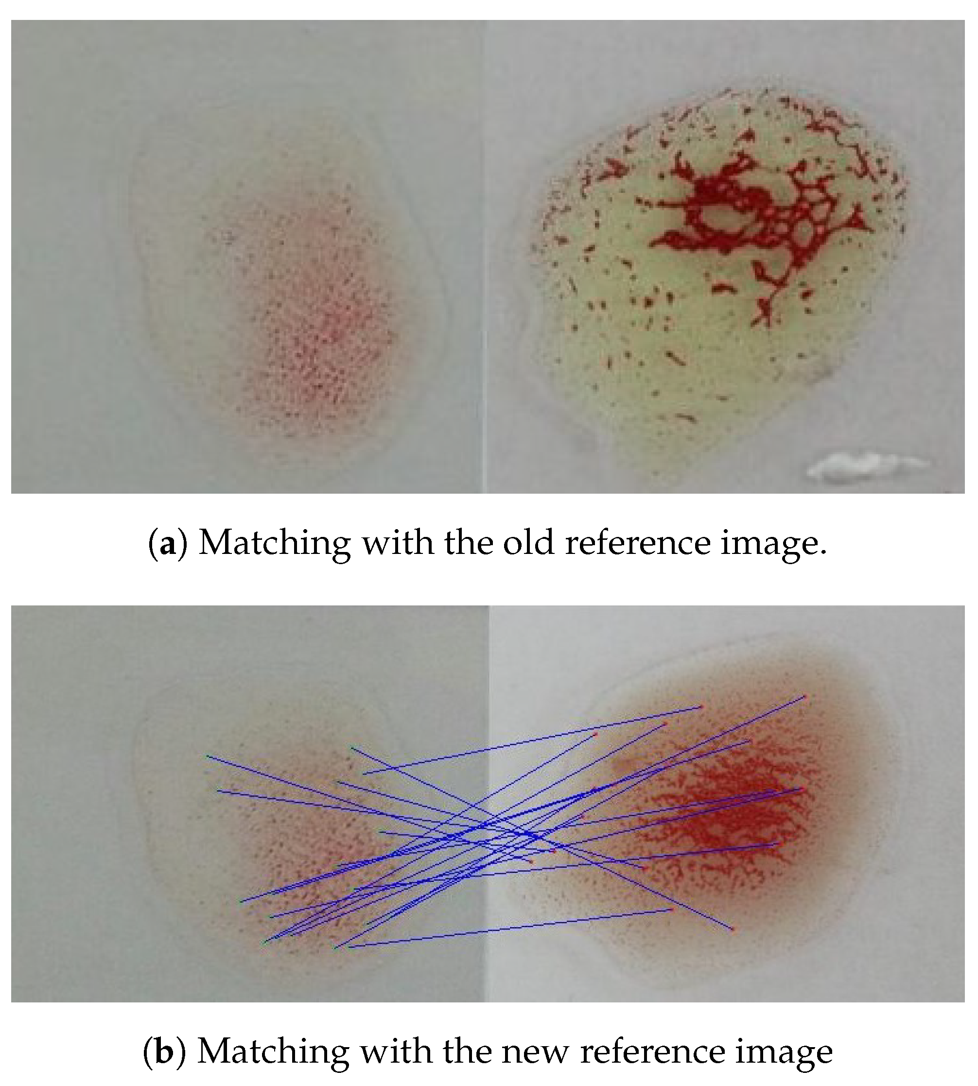 Applsci 11 05225 g021