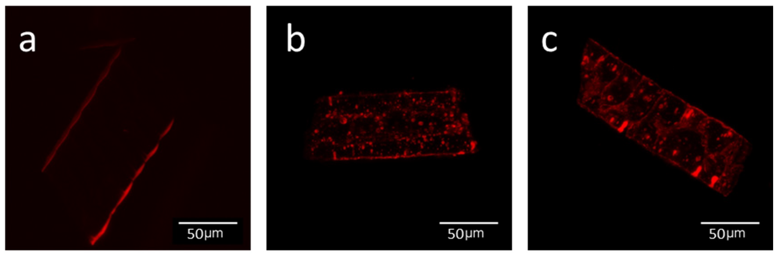 Applsci 11 05338 g003
