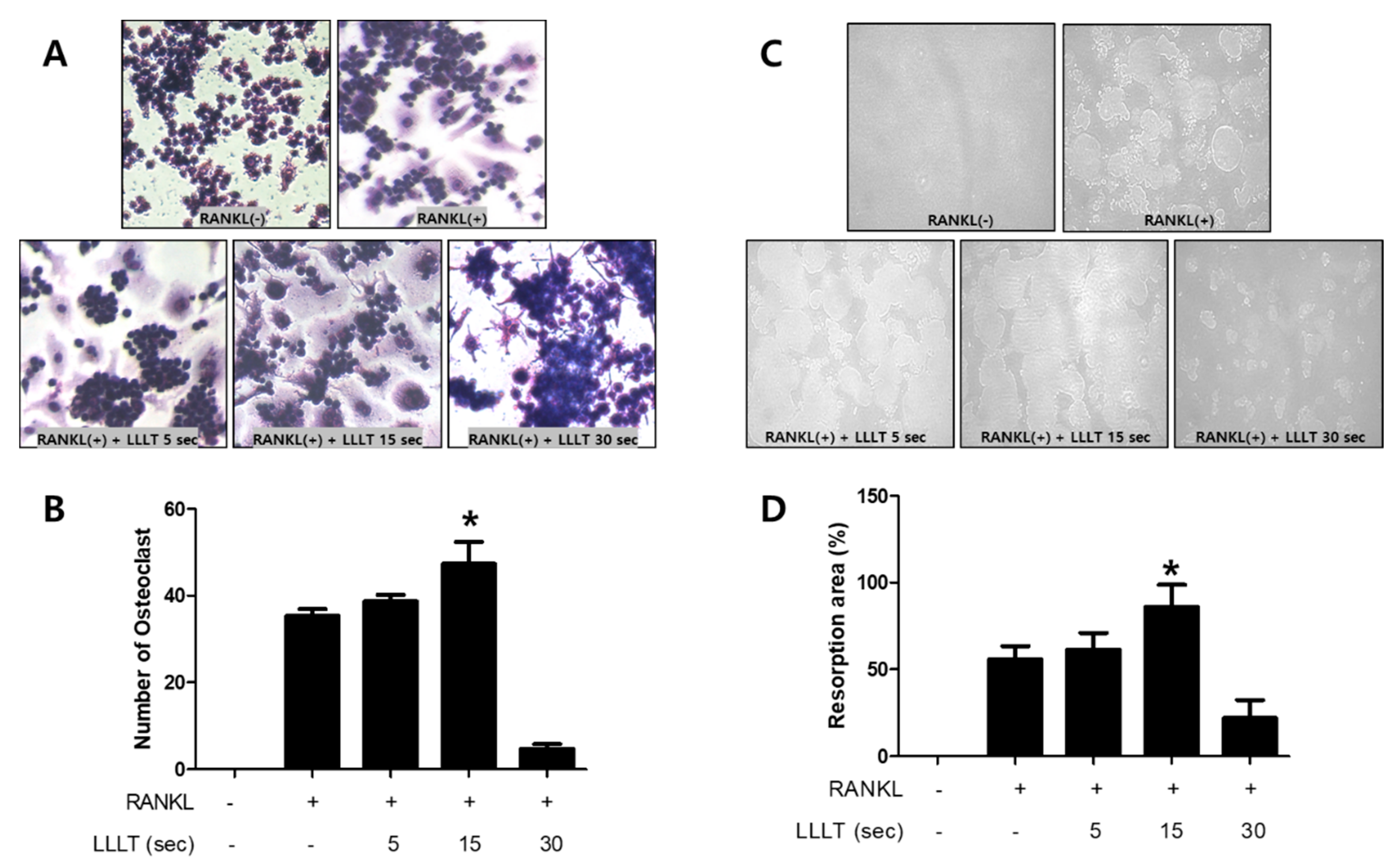 Applsci 11 05360 g002