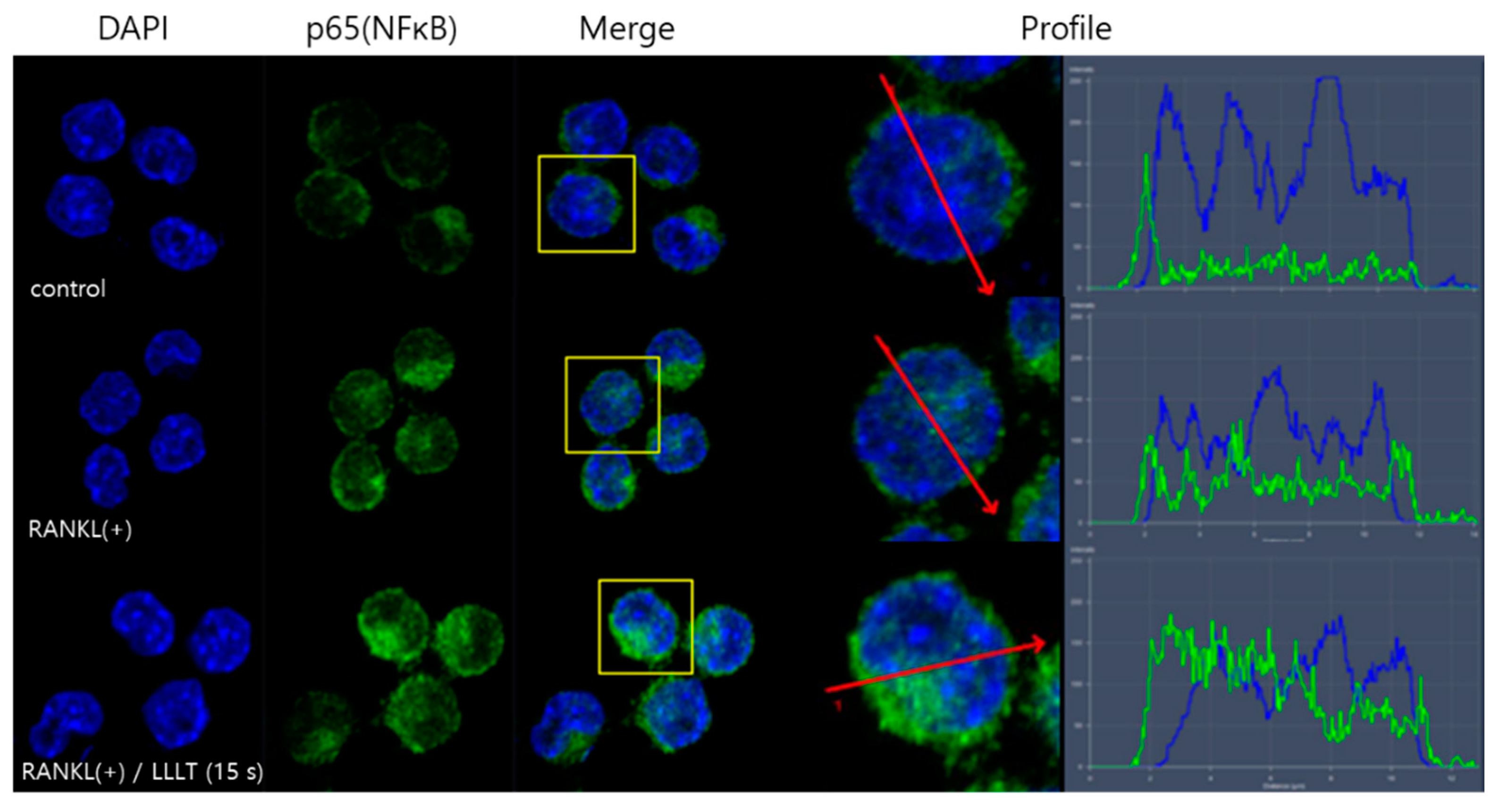 Applsci 11 05360 g004