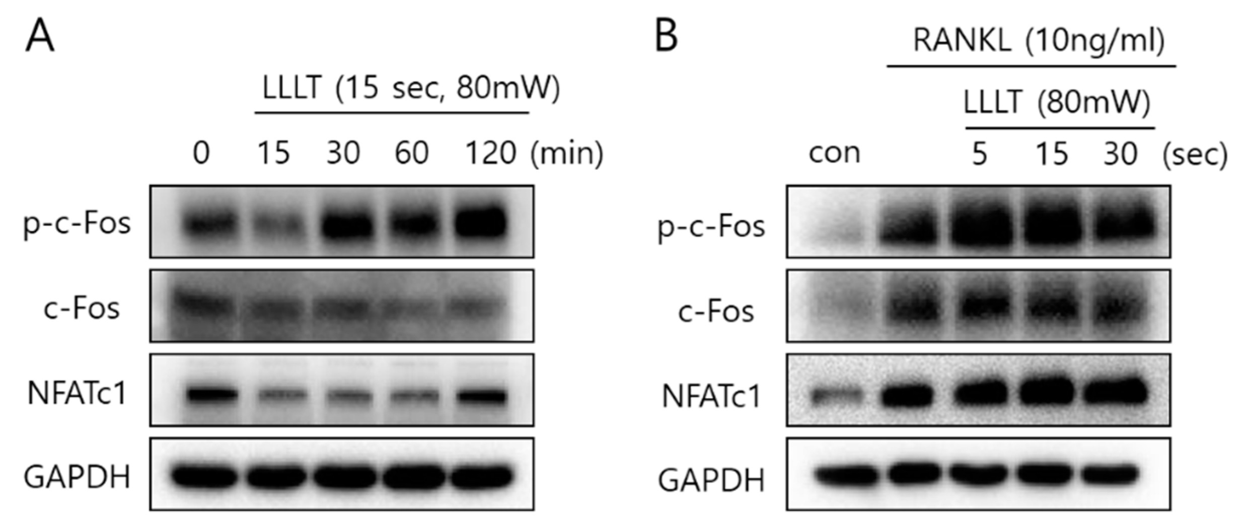 Applsci 11 05360 g006