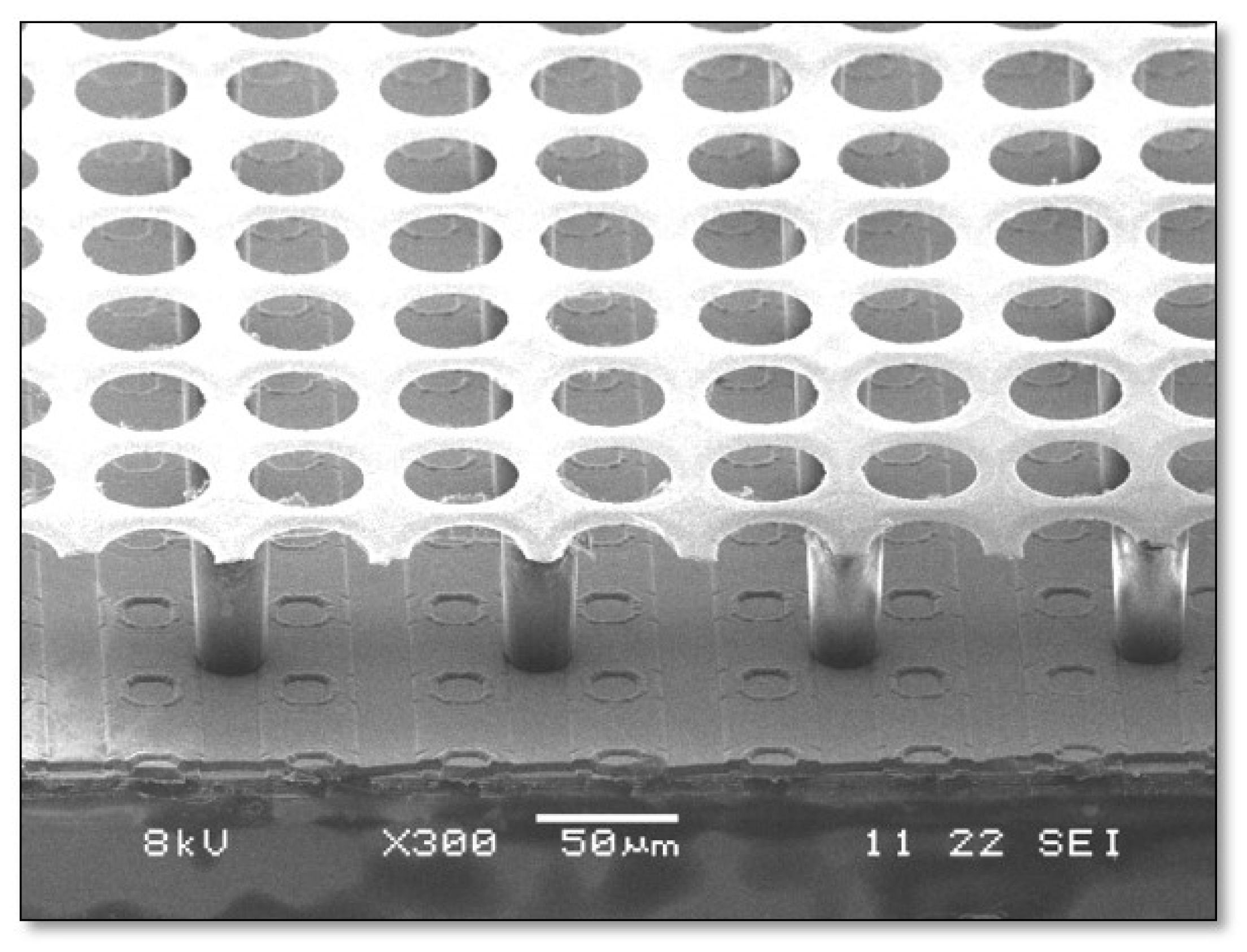 Applsci 11 05362 g005 Applsci 11 05362 g005