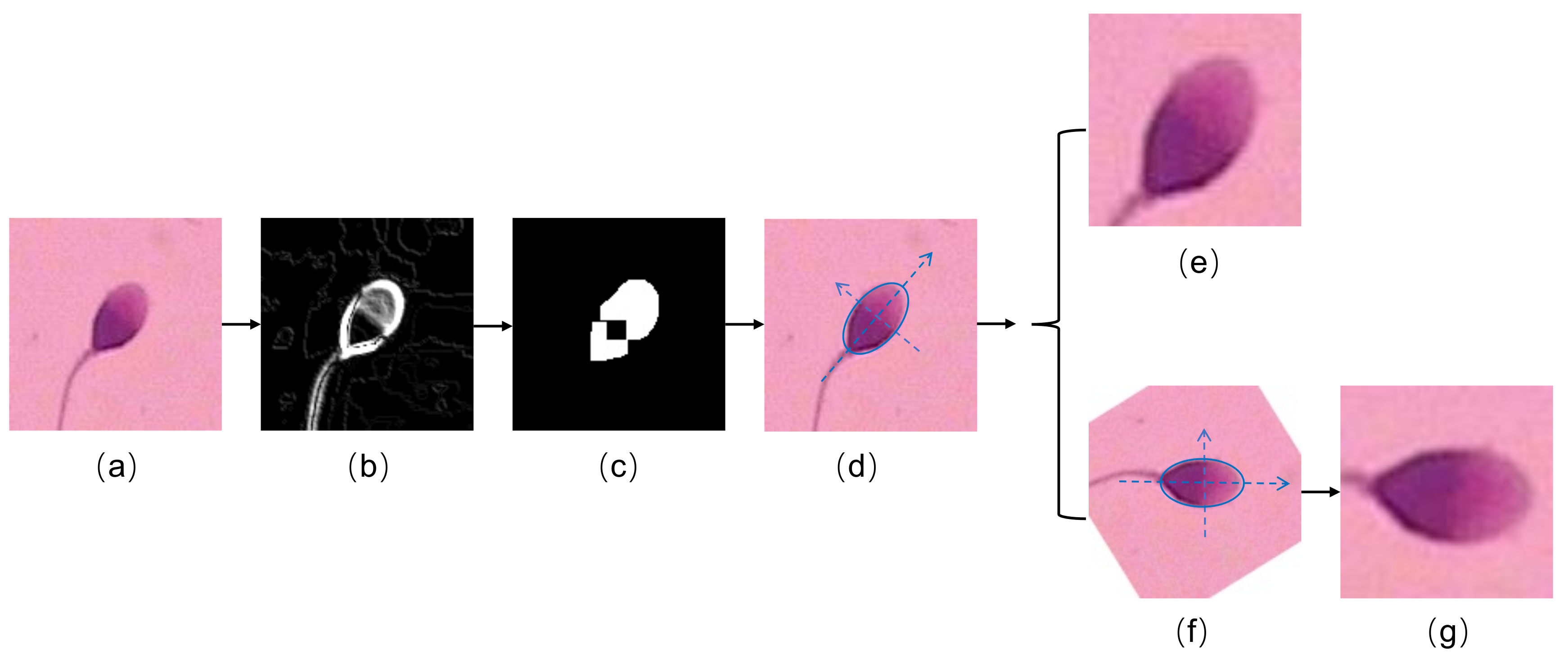 Applsci 11 05369 g003